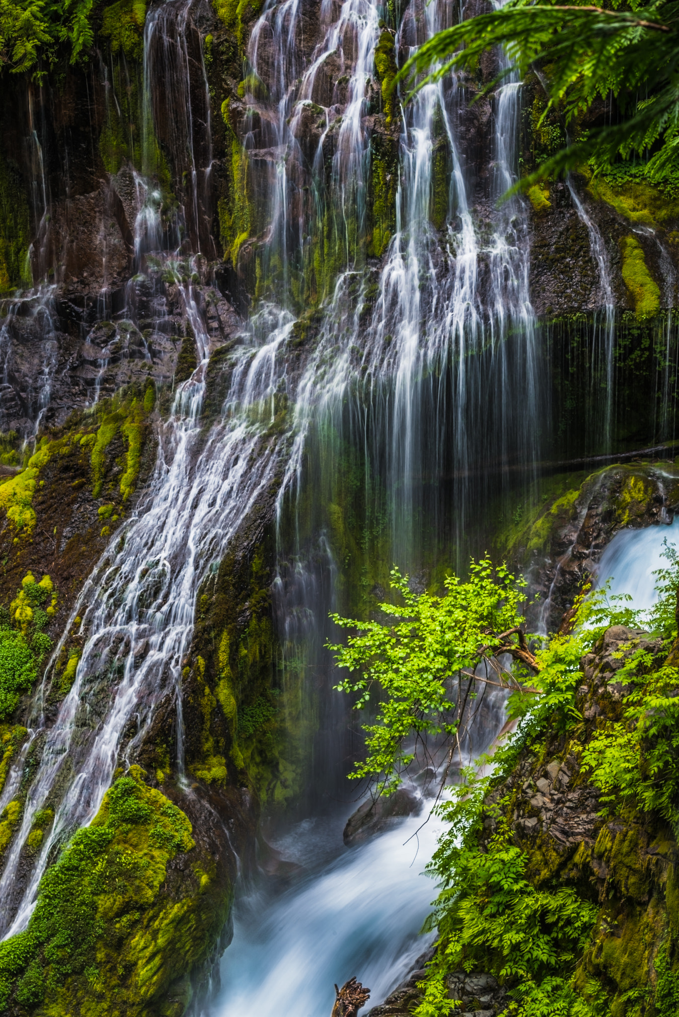 Nikon AF-S Nikkor 70-200mm F4G ED VR sample photo. Water world photography