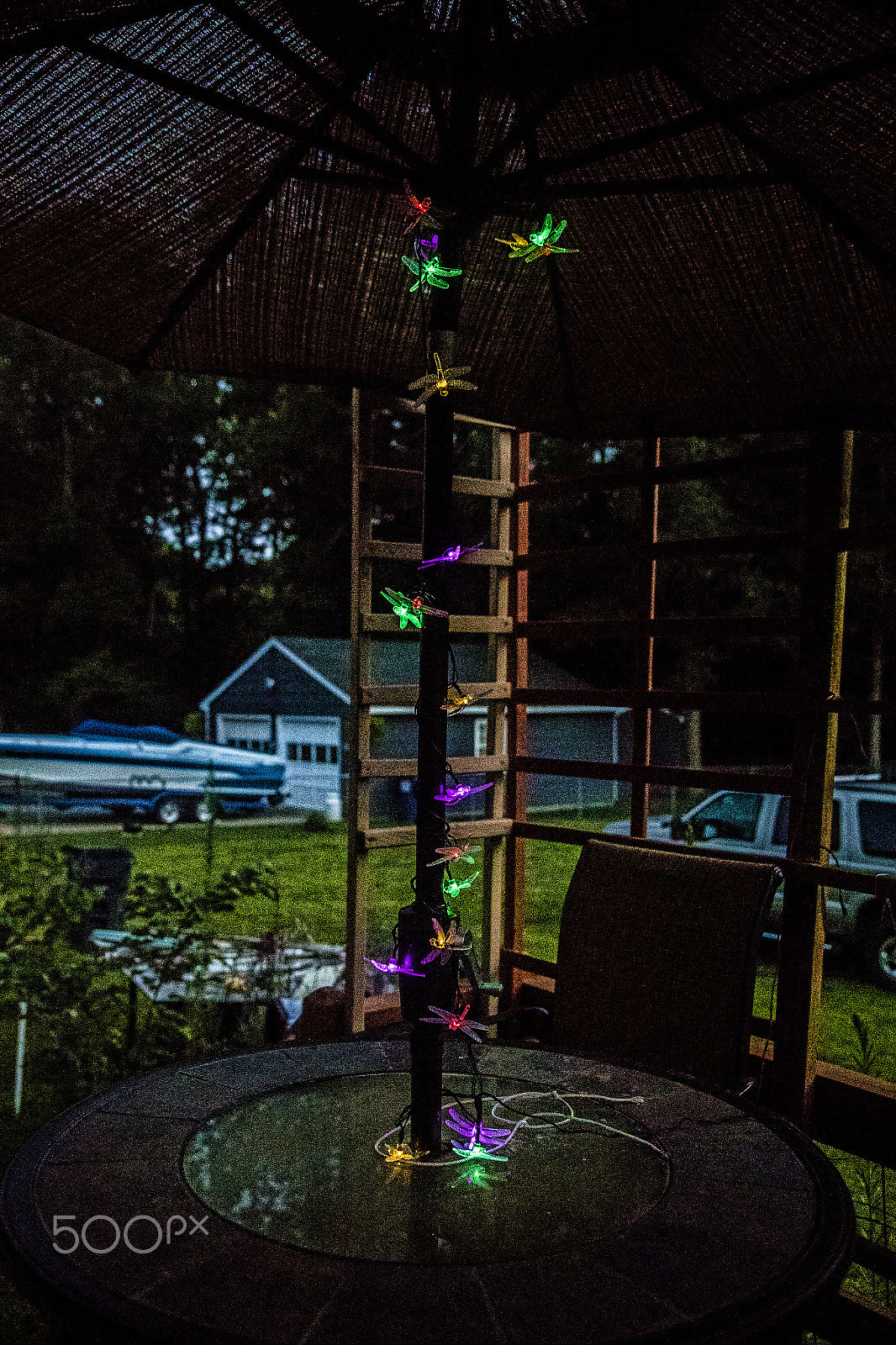Sigma 24-105mm f/4 DG OS HSM | A sample photo. Solar powered dragonflies 10113vt photography