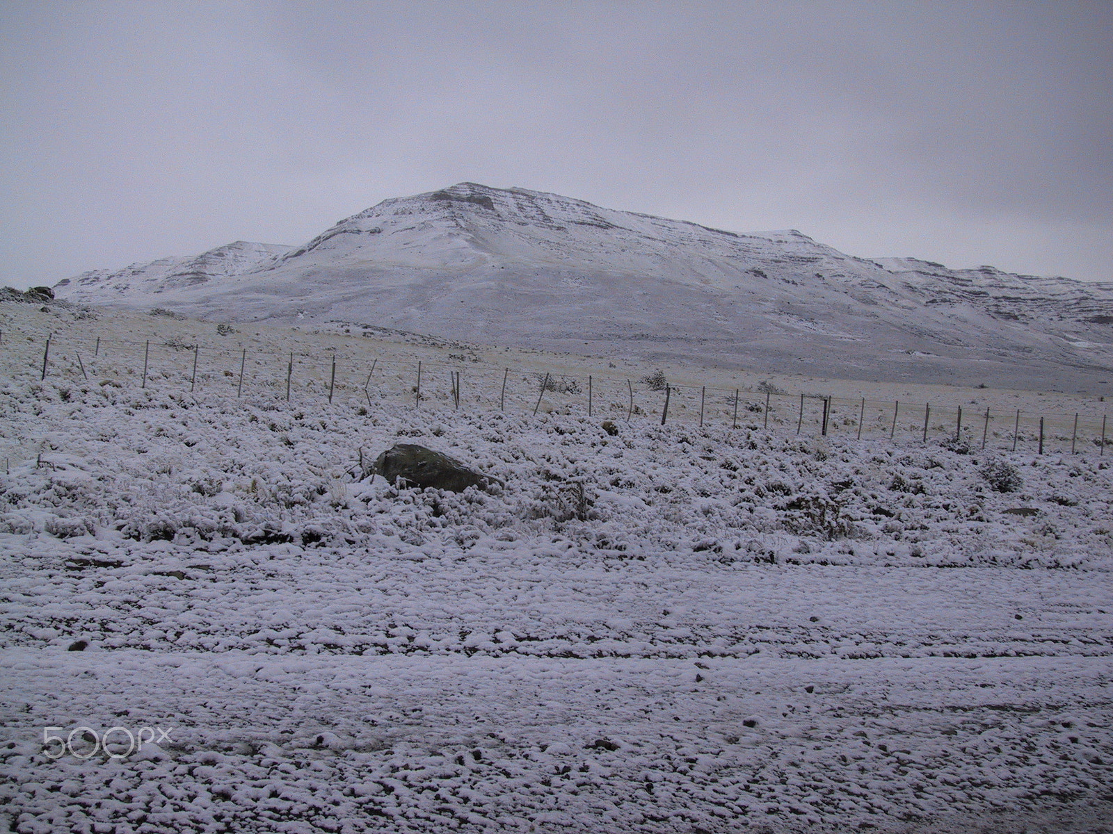 Canon POWERSHOT S20 sample photo. Argentina - el calafate photography