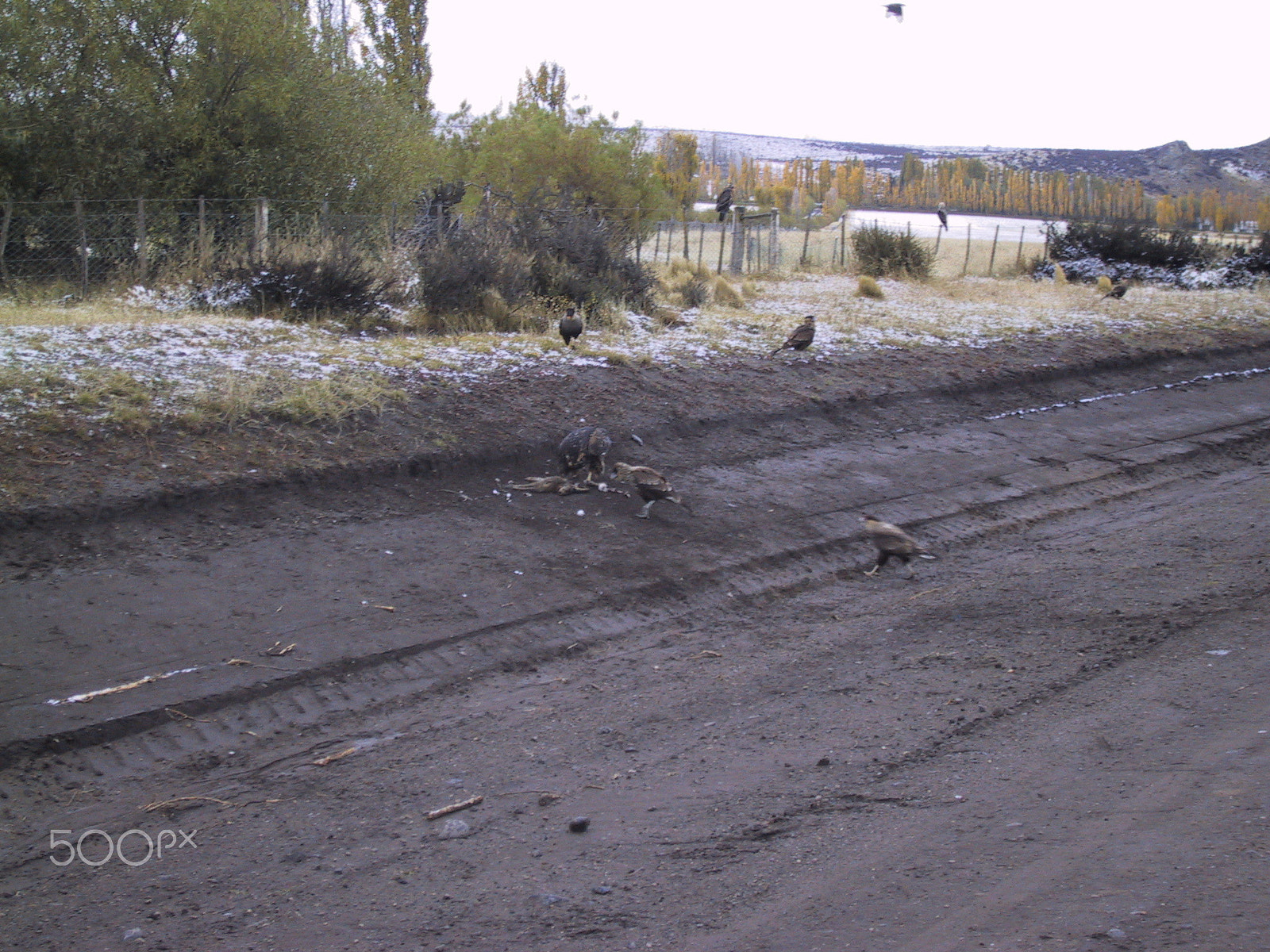 Canon POWERSHOT S20 sample photo. Argentina - el calafate photography