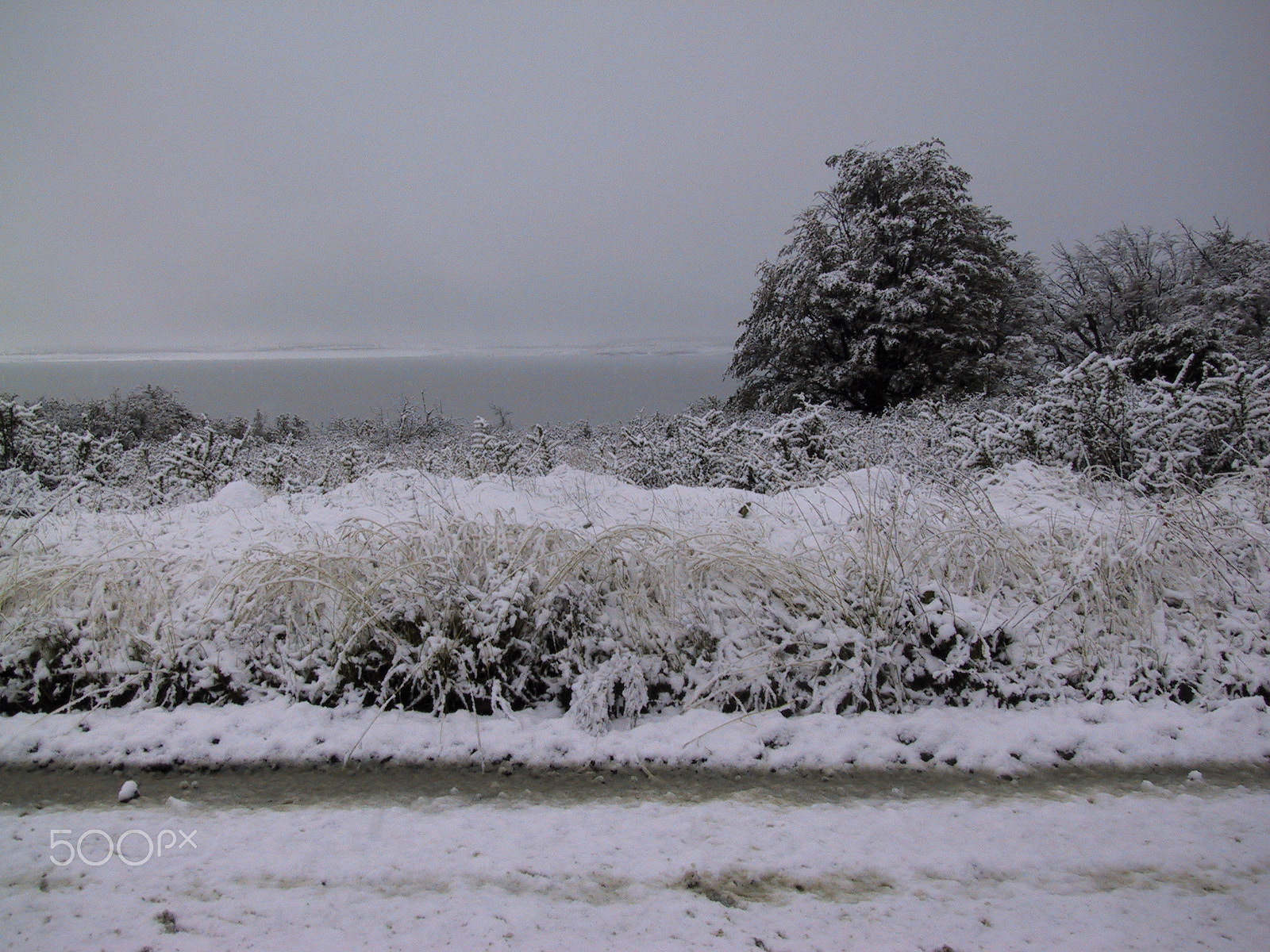 Canon POWERSHOT S20 sample photo. Argentina - el calafate photography