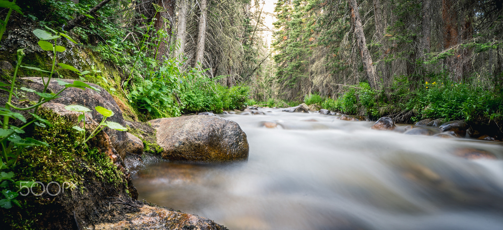 Sony a7 + ZEISS Batis 25mm F2 sample photo. Colorado creek photography