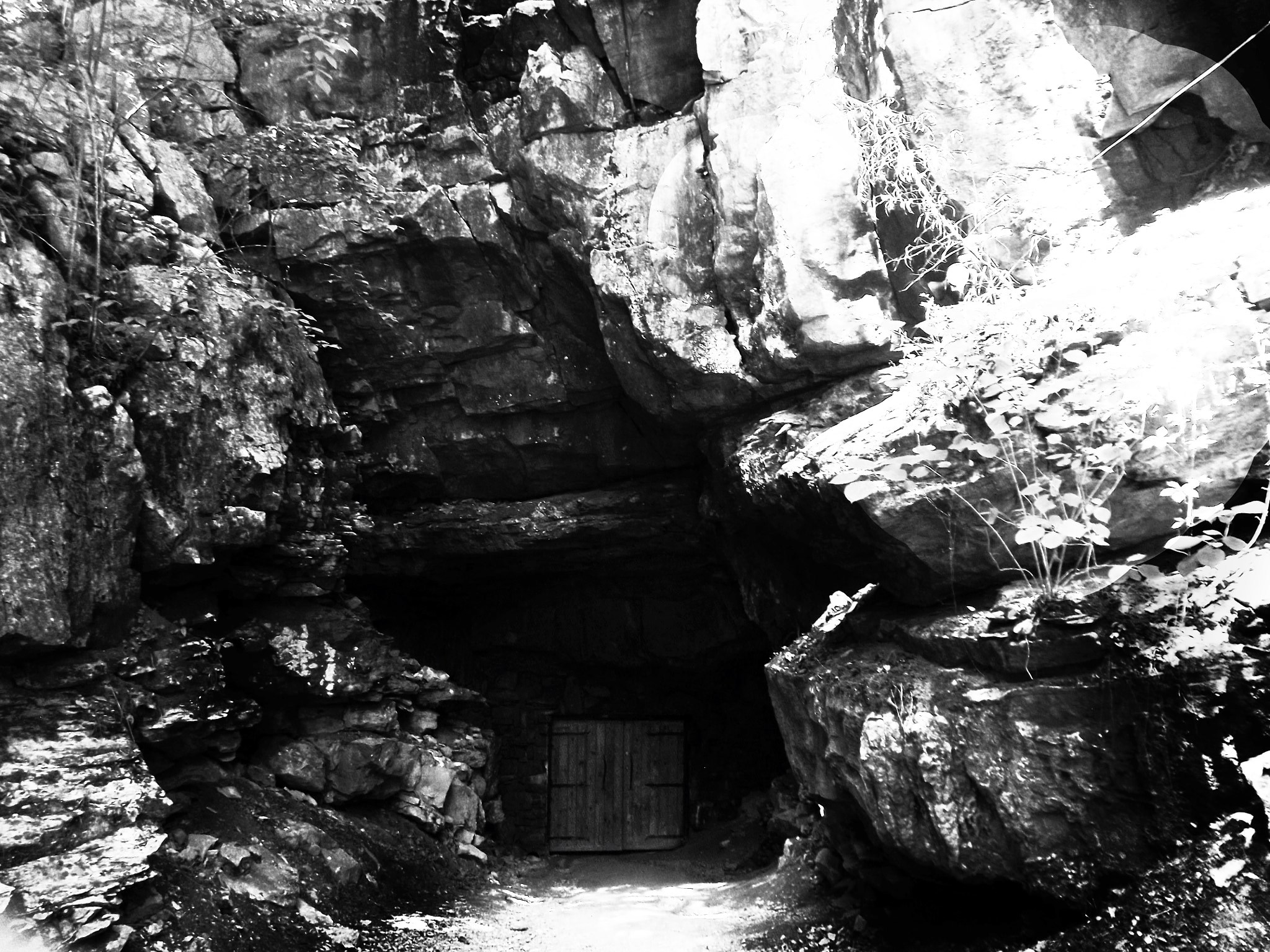 FujiFilm FinePix S3200 (FinePix S3250) sample photo. Hidden treasure photography