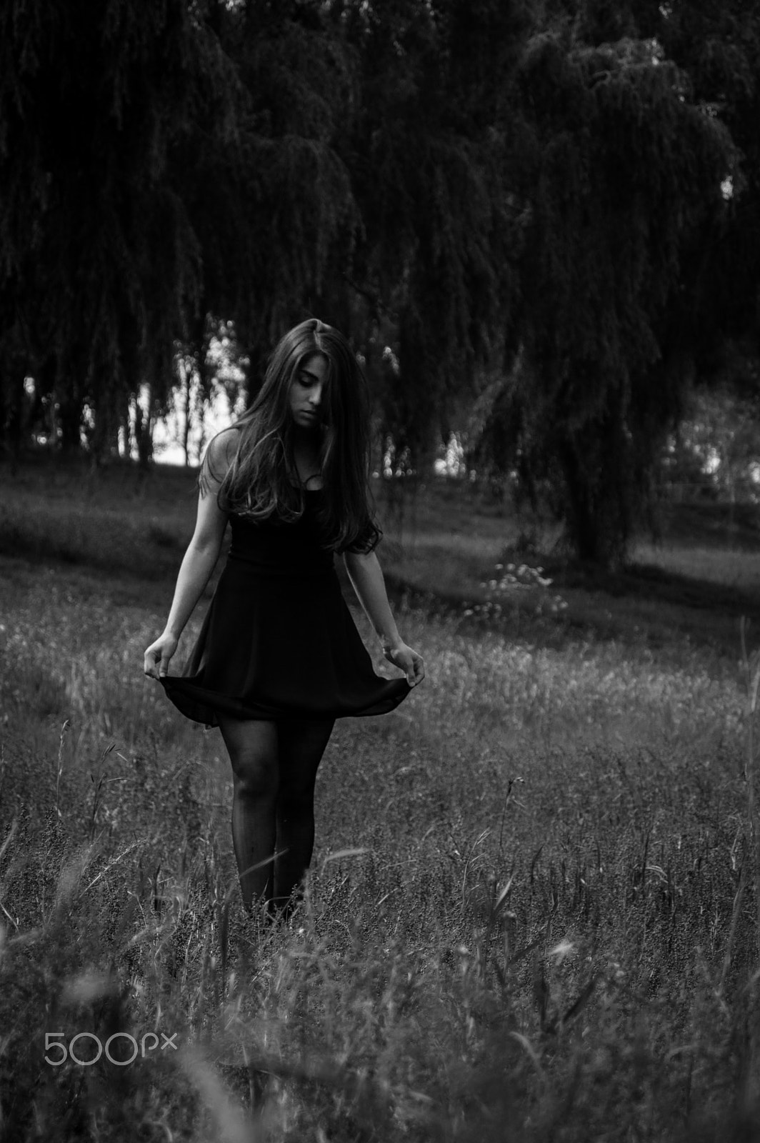 AF Zoom-Nikkor 28-80mm f/3.3-5.6G sample photo. Vida dulce trampa mortal. photography