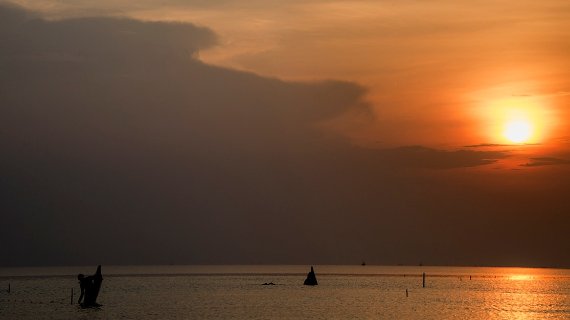 Sigma 18-250mm F3.5-6.3 DC OS HSM sample photo. Work is hard?? photography