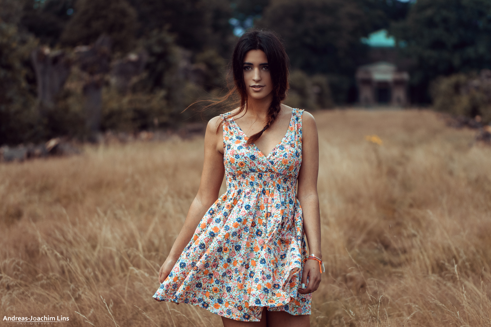 Panasonic Leica DG Nocticron 42.5mm F1.2 ASPH OIS sample photo. Gone with the wind photography