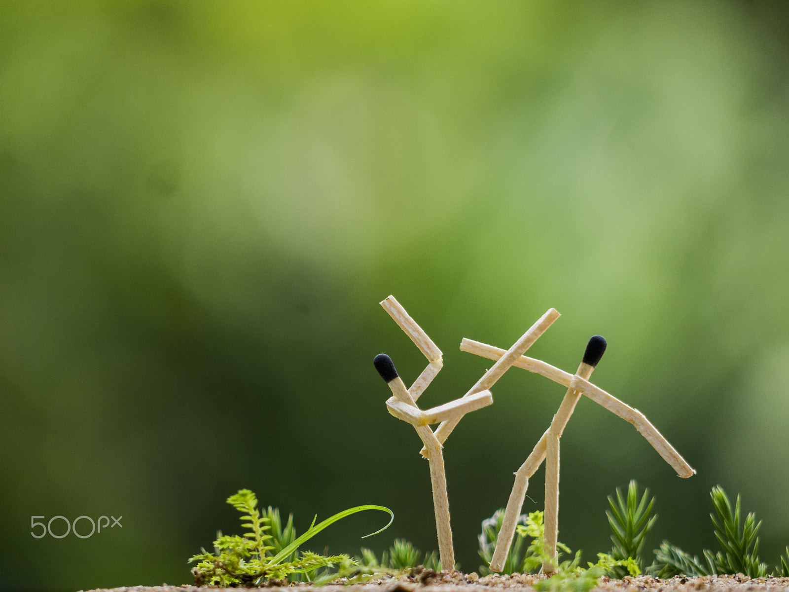 Panasonic Lumix G Vario 45-200mm F4-5.6 OIS sample photo. Matchstick photography photography