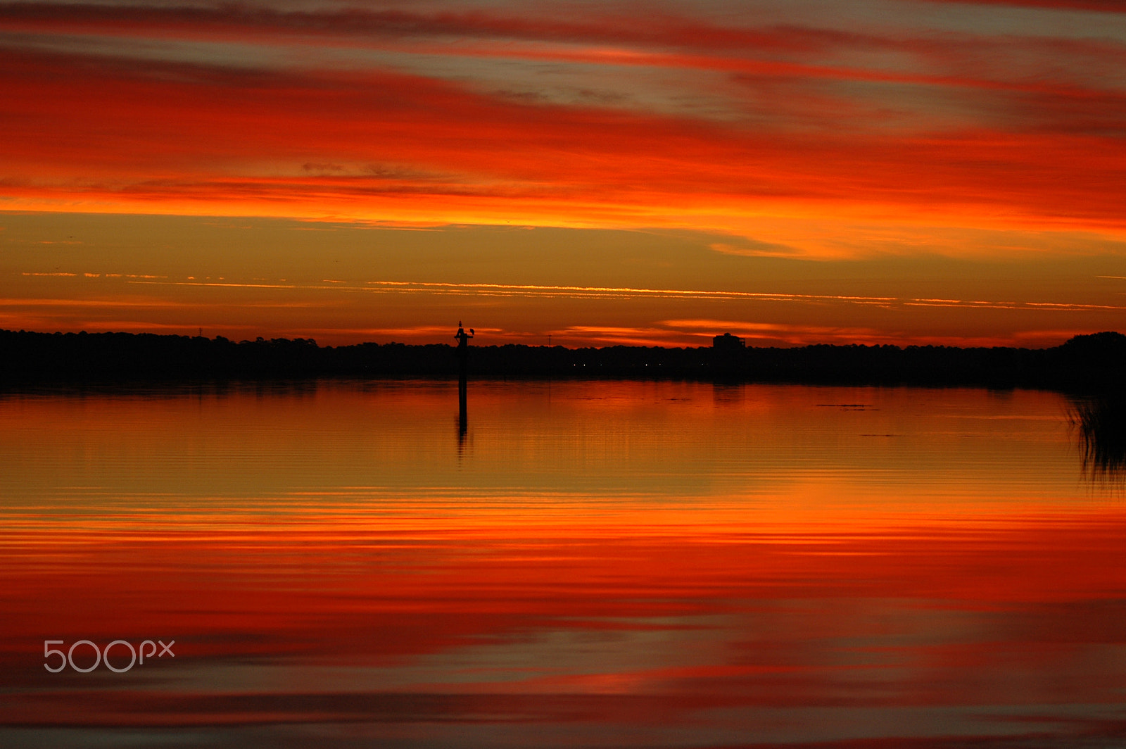 Nikon D70 sample photo. Savanna sunrise o photography