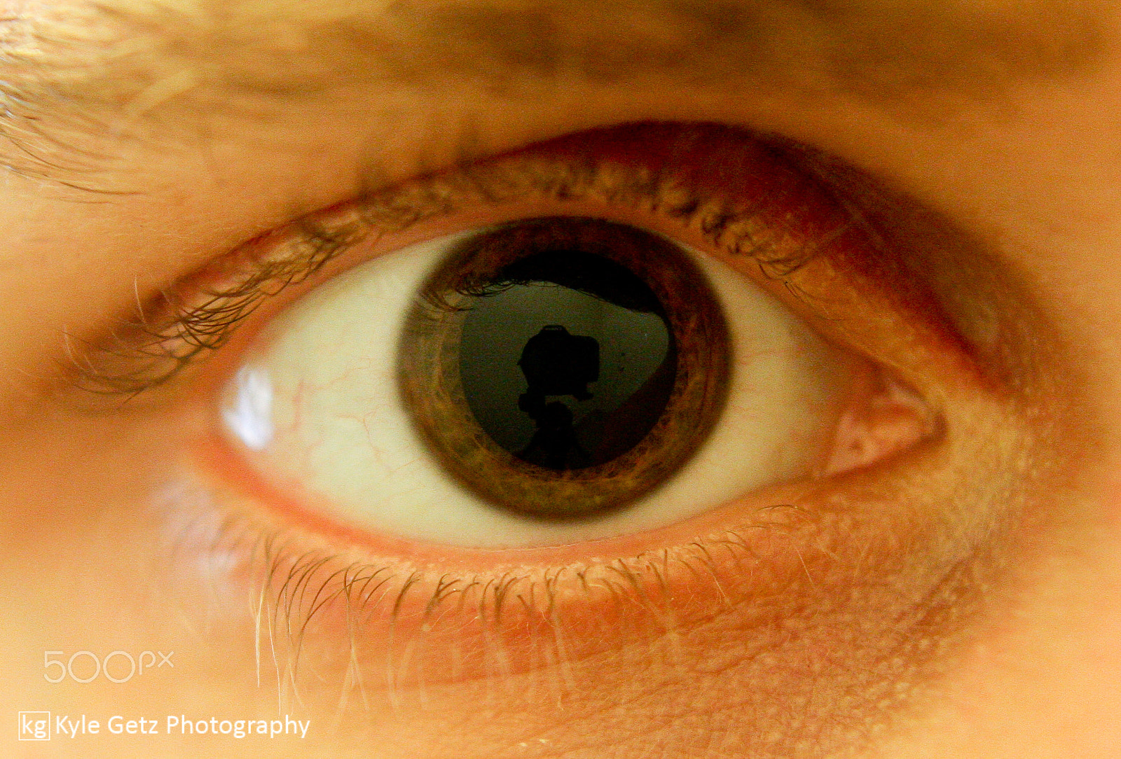 Sigma 30mm F1.4 EX DC HSM sample photo. Eye of the photographer photography
