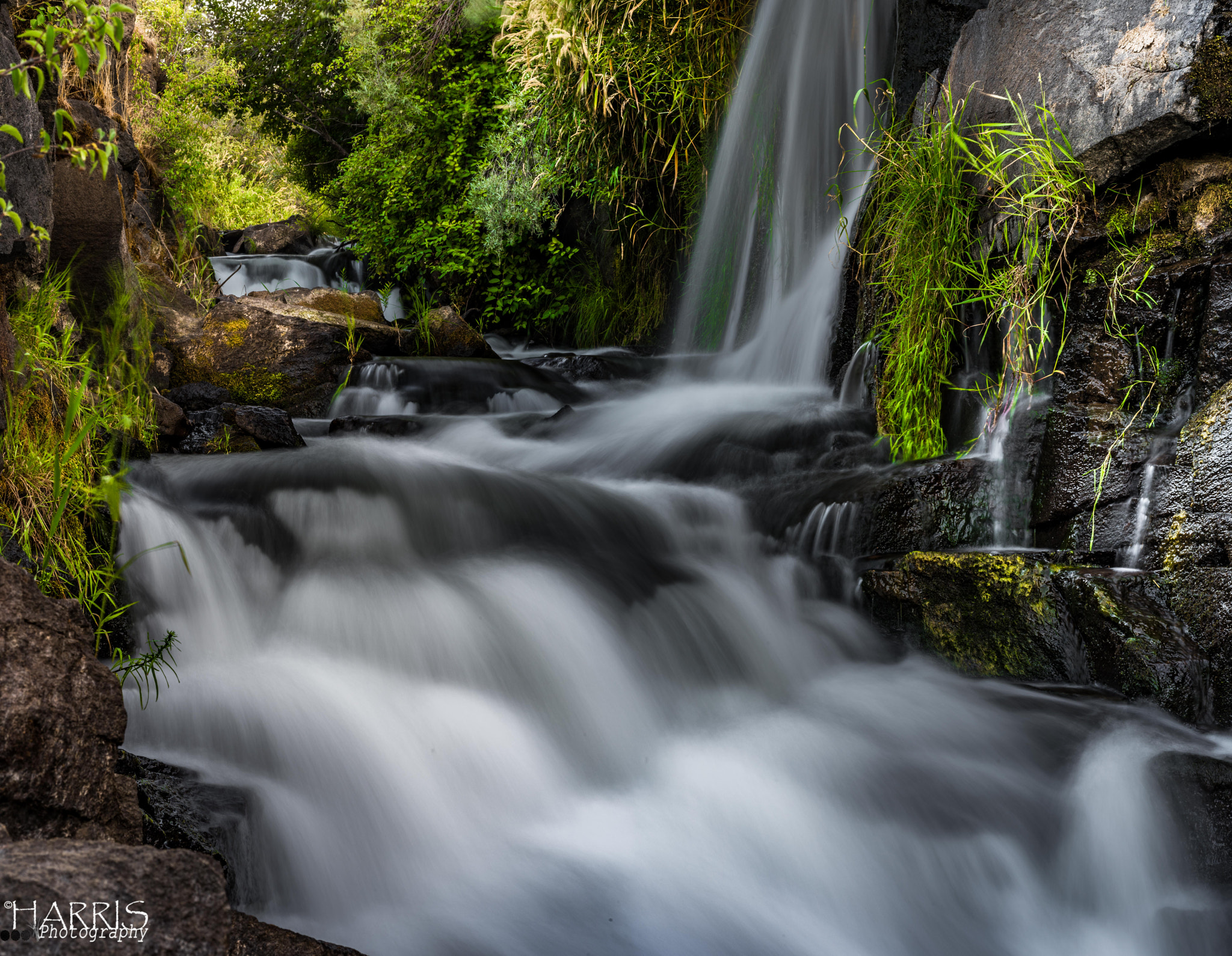 Nikon AF Micro-Nikkor 60mm F2.8D sample photo. Cline falls  photography