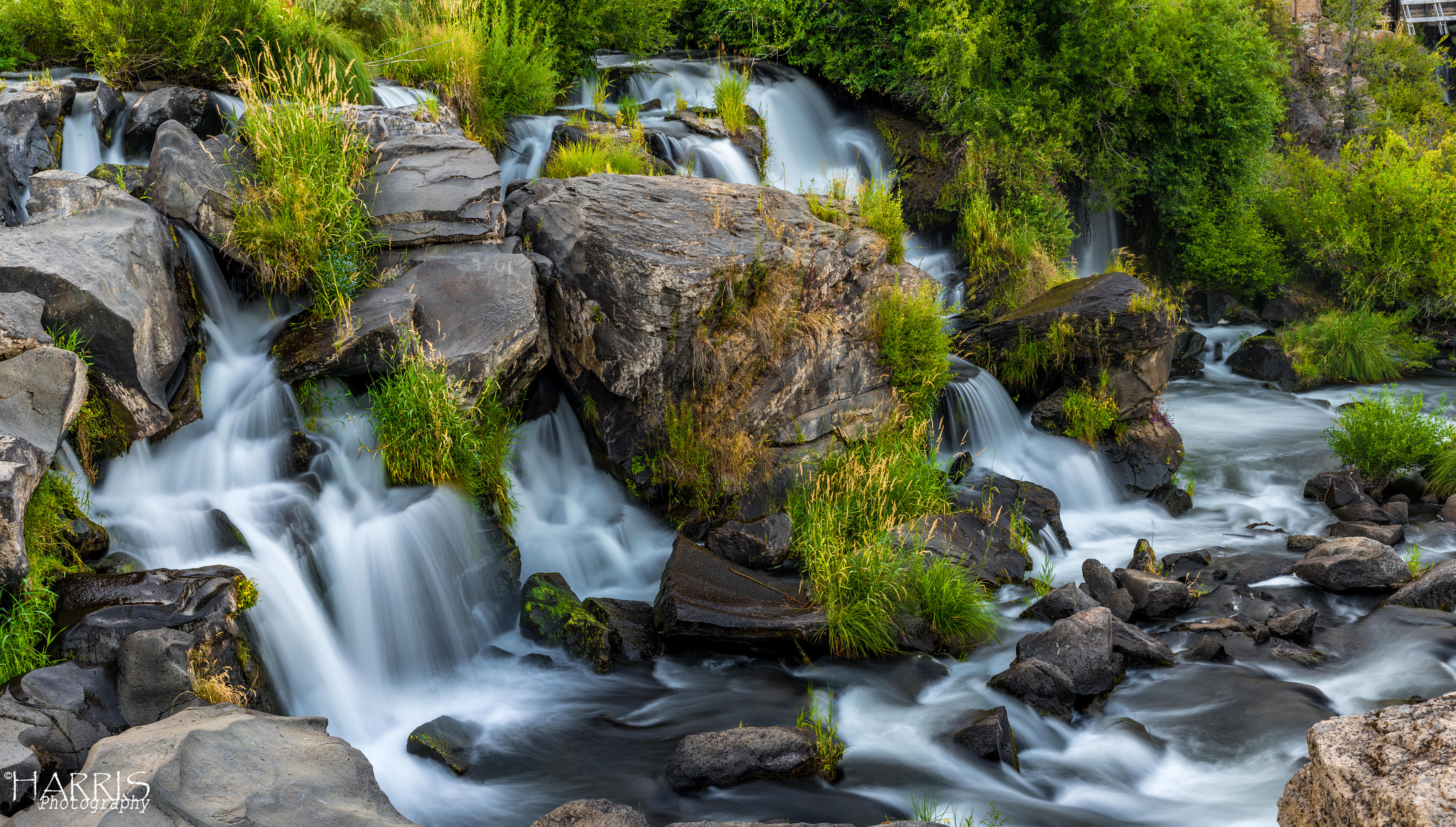 Nikon AF Micro-Nikkor 60mm F2.8D sample photo. Clone falls photography