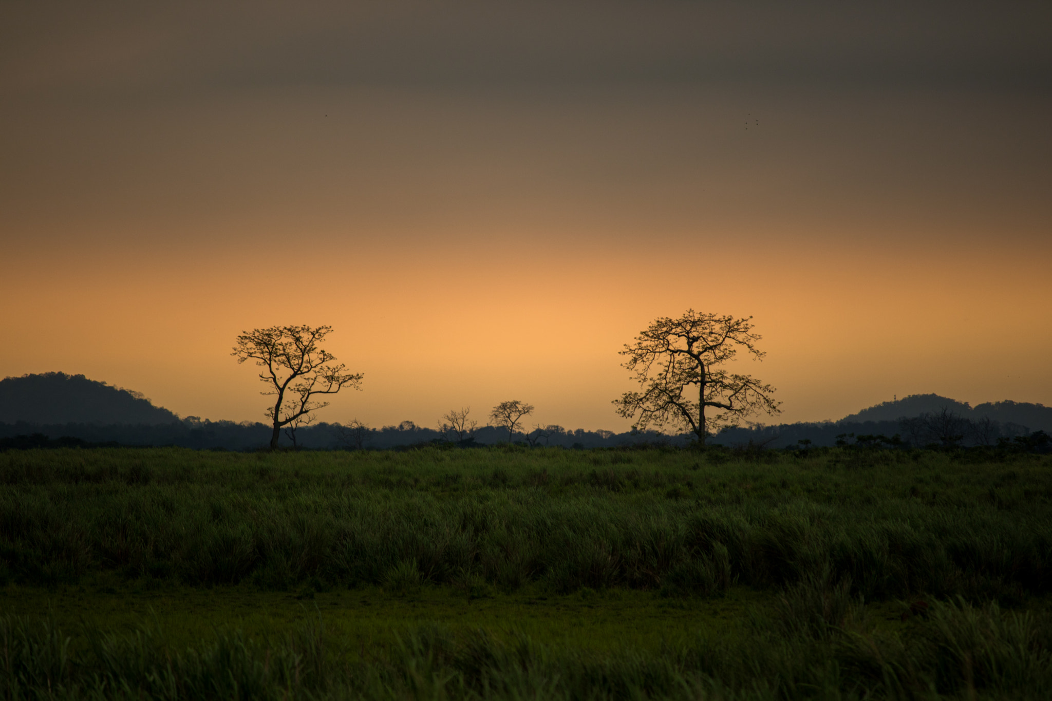 Canon EOS 750D (EOS Rebel T6i / EOS Kiss X8i) sample photo. Surreal sunset photography
