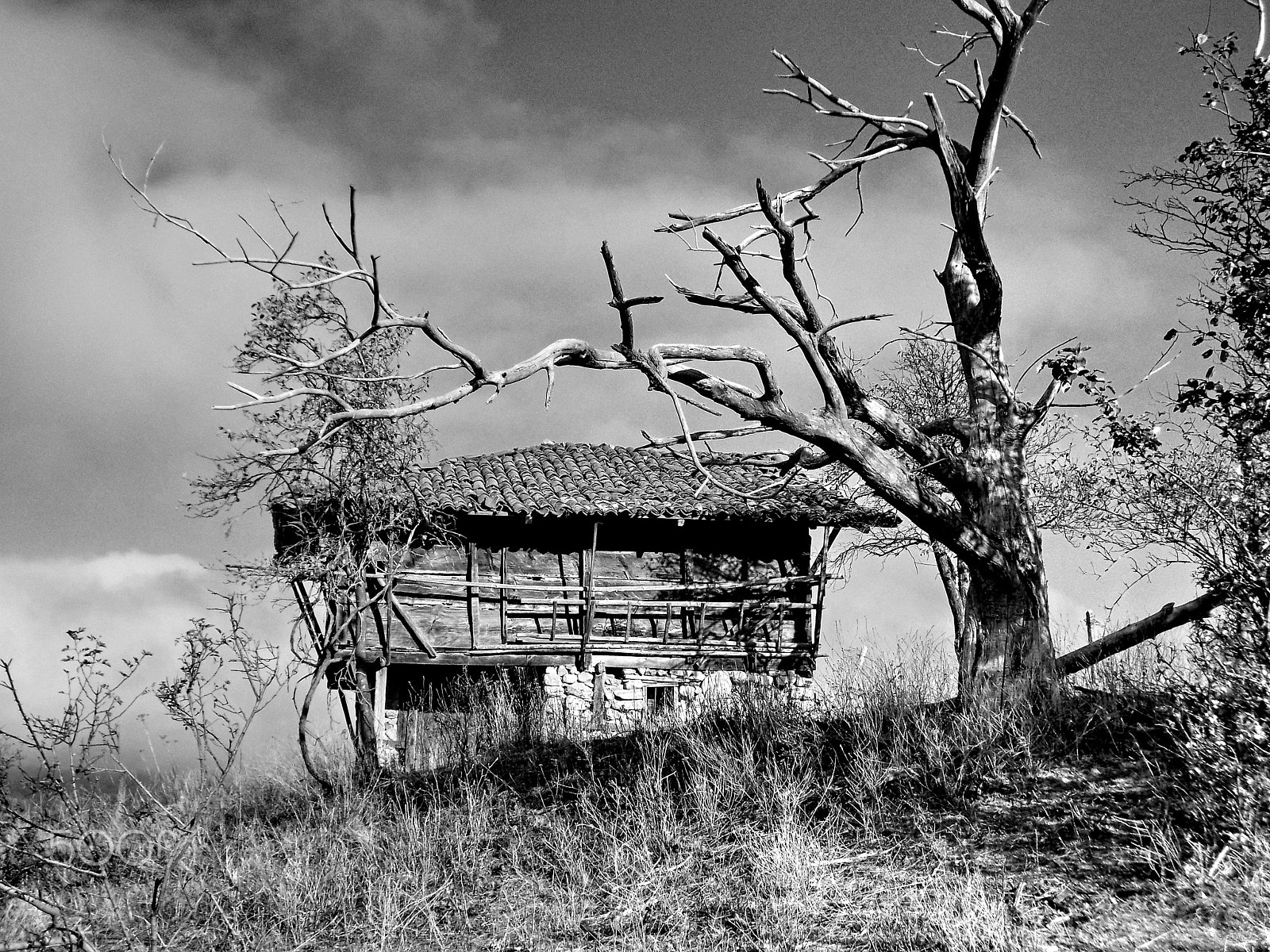 Nikon COOLPIX L25 sample photo. Old house in the mountains photography