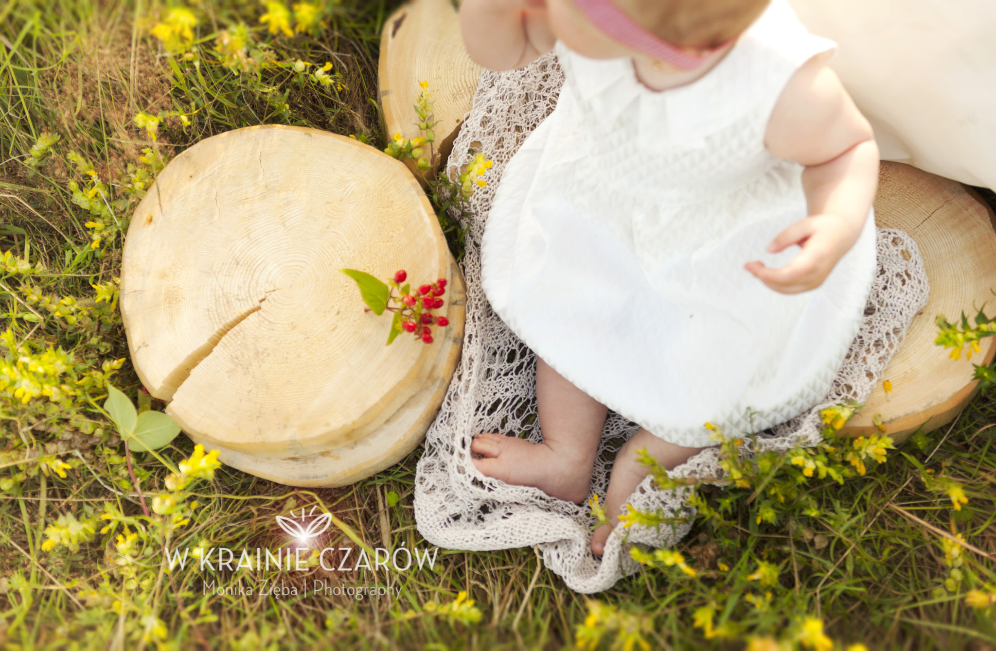 Pentax K200D + Sigma 18-35mm F1.8 DC HSM Art sample photo. Wonderland photography