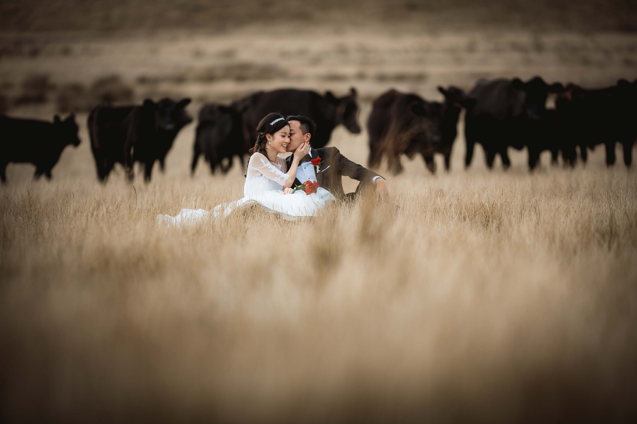 Canon EOS 5DS + Canon EF 200mm F2L IS USM sample photo. Cows photography