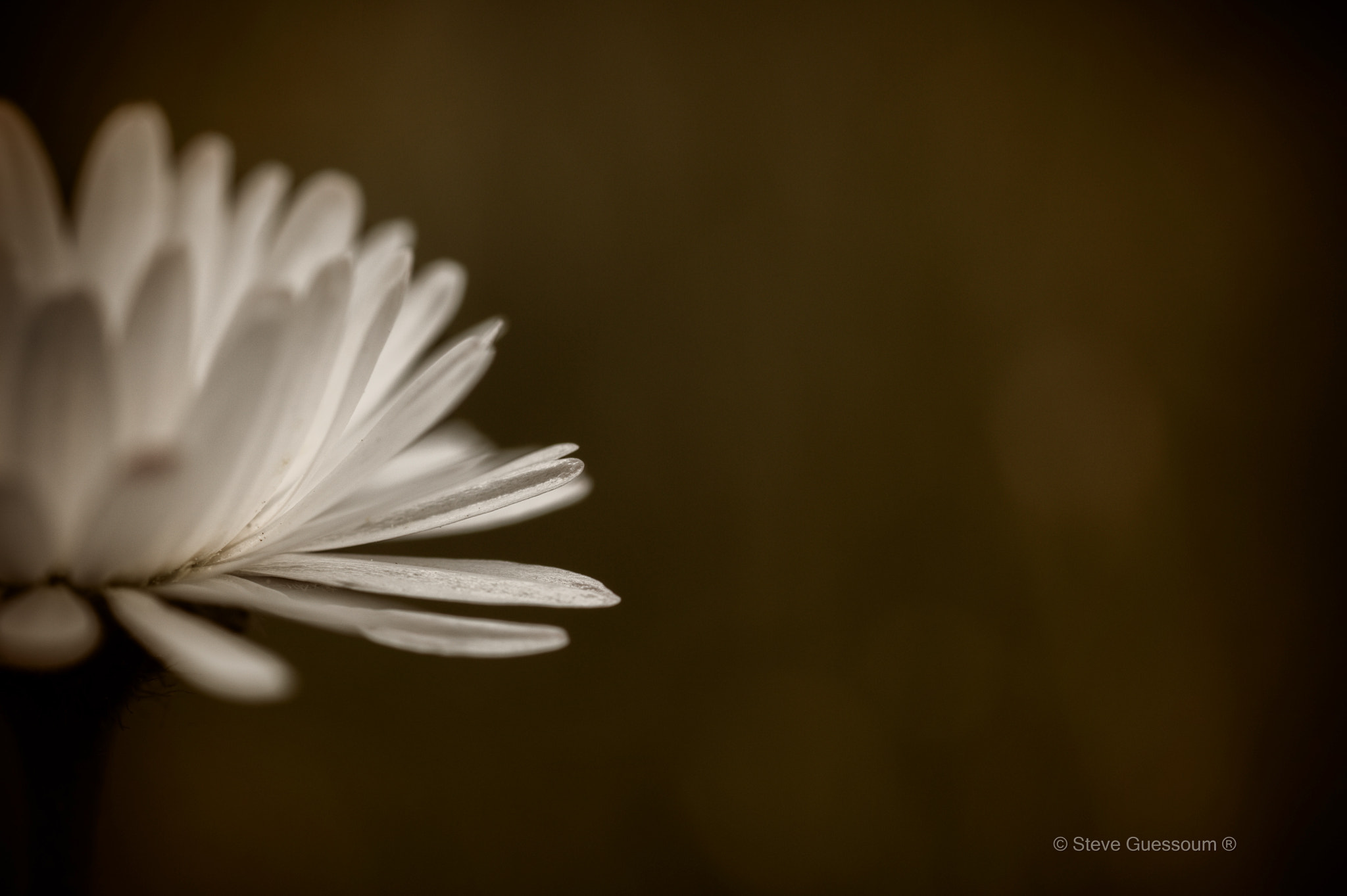 Sigma 50mm f/1.4 EX DG HSM + 1.4x sample photo