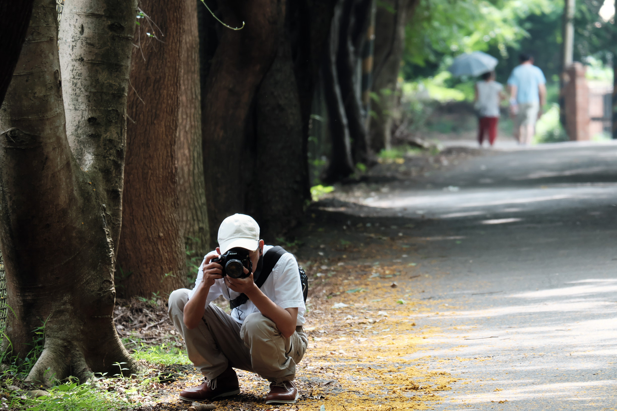 Fujifilm X-A2 + Fujifilm XC 50-230mm F4.5-6.7 OIS II sample photo. 焦點 focus photography