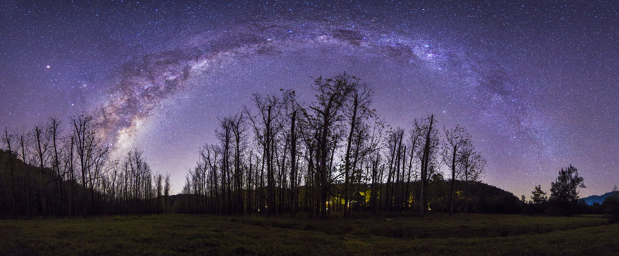 Tokina AT-X Pro 12-24mm F4 (IF) DX sample photo. Forest of stars iii photography