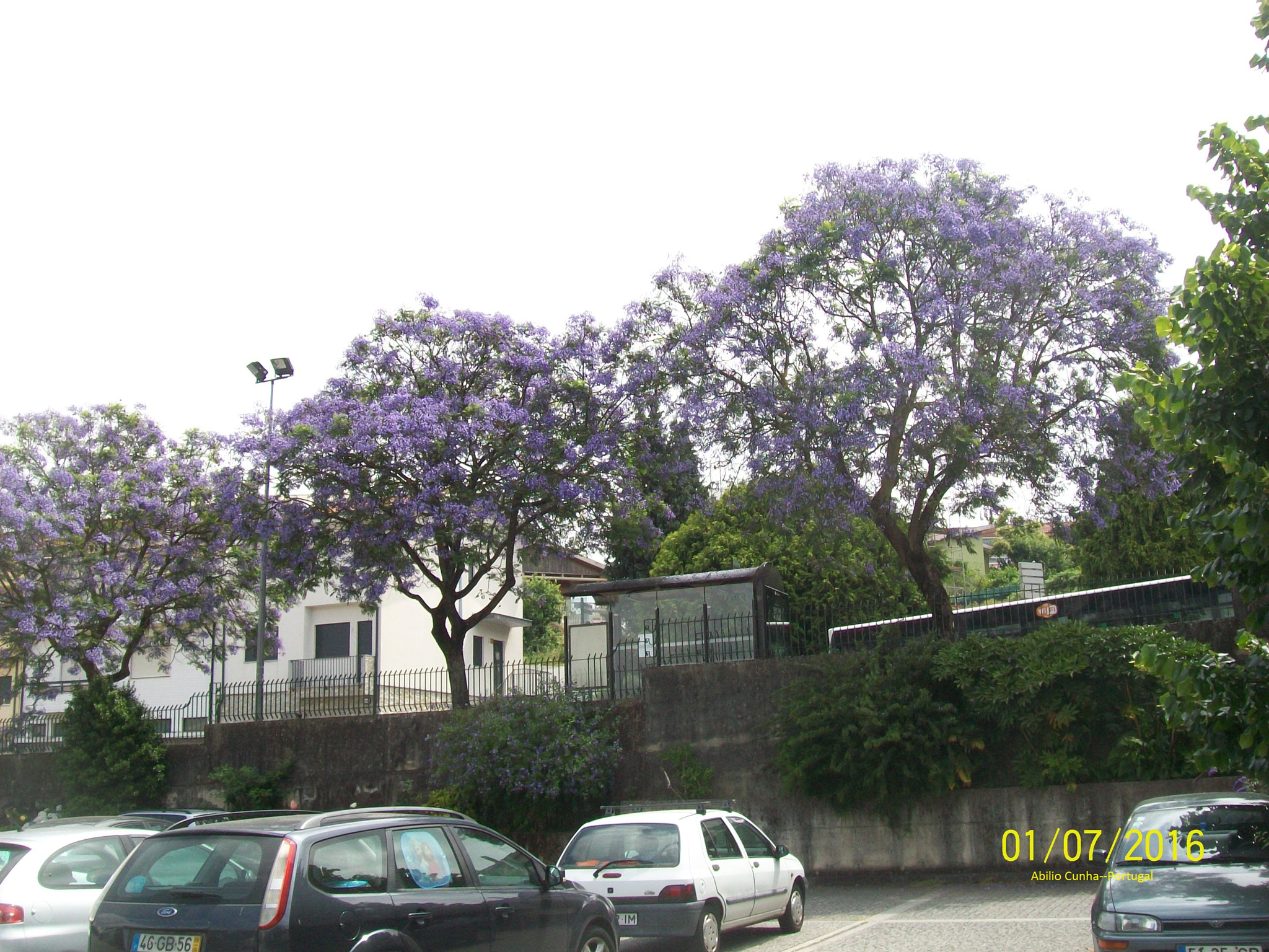 Kodak EasyShare C913 sample photo. As ruas floridas do norte de portugal photography