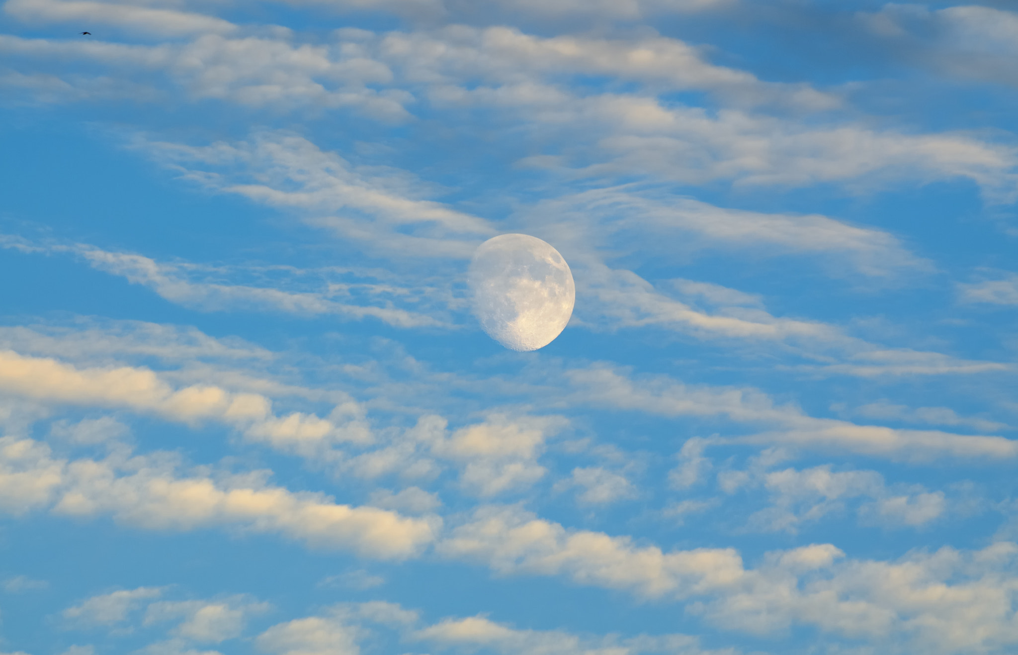 Nikon D7000 + Sigma 70-300mm F4-5.6 DG OS sample photo. Moon between the clouds photography