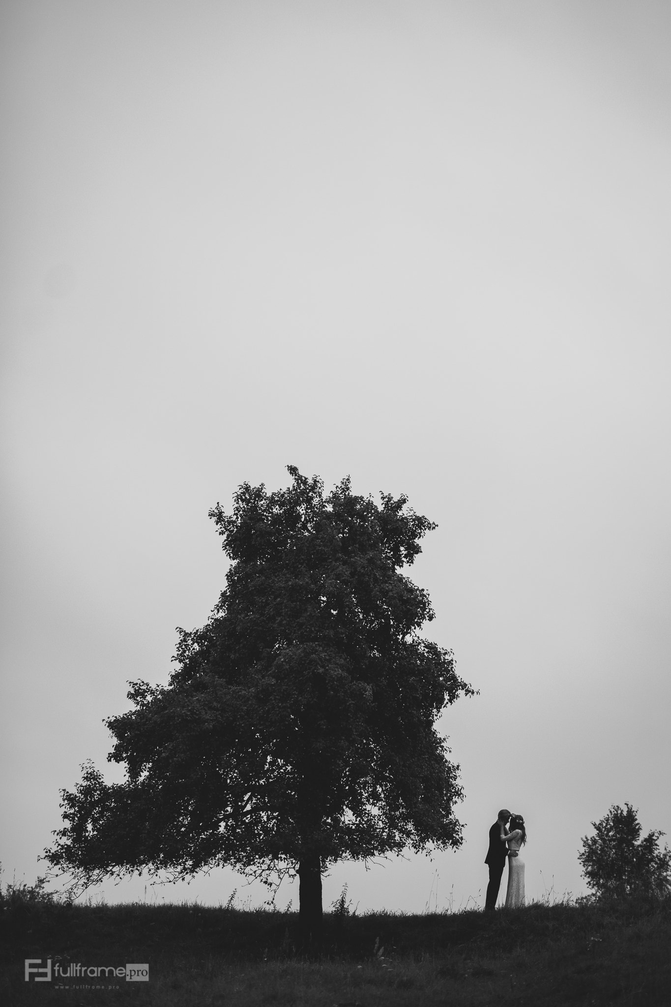 Sony Alpha DSLR-A850 + Minolta/Sony AF 70-200mm F2.8 G sample photo. Walk photography