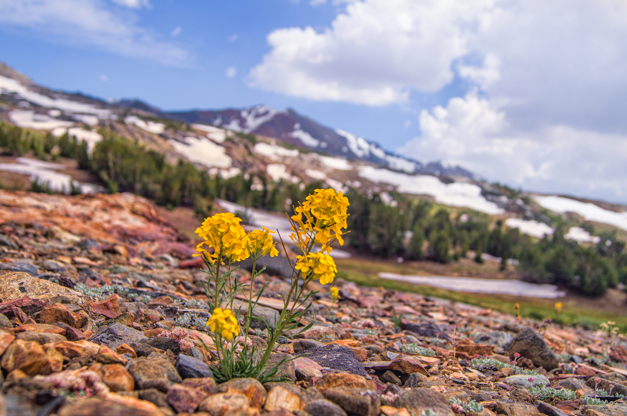 Sony SLT-A35 + Sony DT 18-55mm F3.5-5.6 SAM sample photo. Yosemite - mono pass photography
