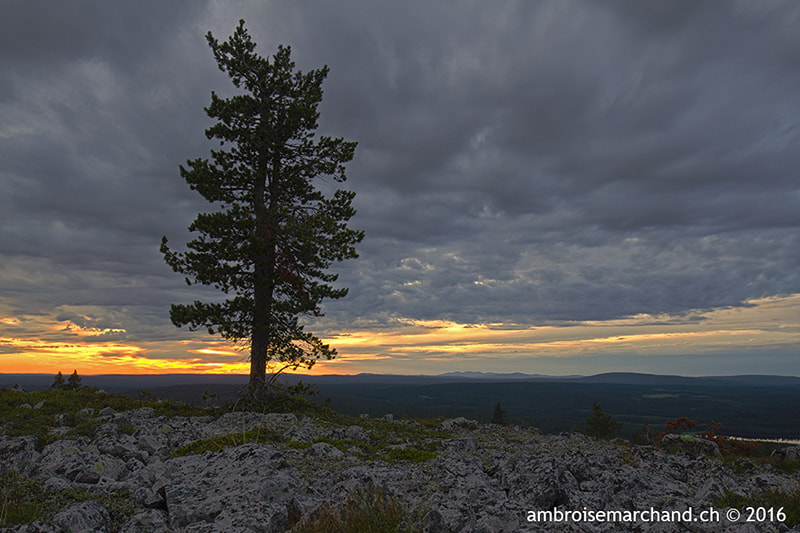Canon EOS 7D + Canon EF 16-35mm F4L IS USM sample photo. Lapland: land of the midnightsun photography