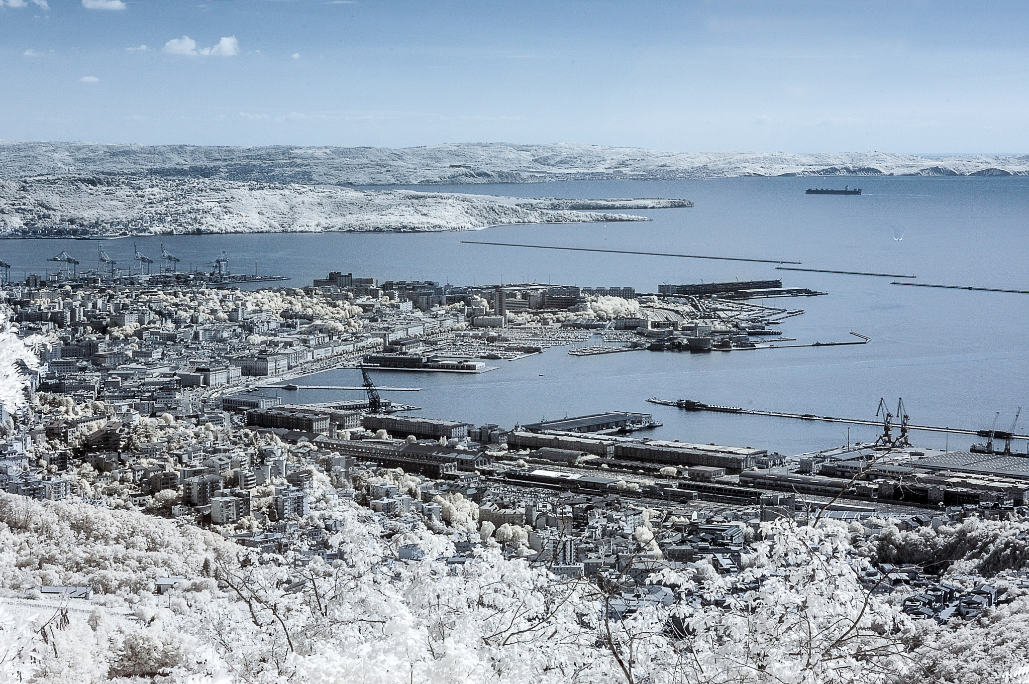 Nikon D70s sample photo. Trieste falsecolor photography