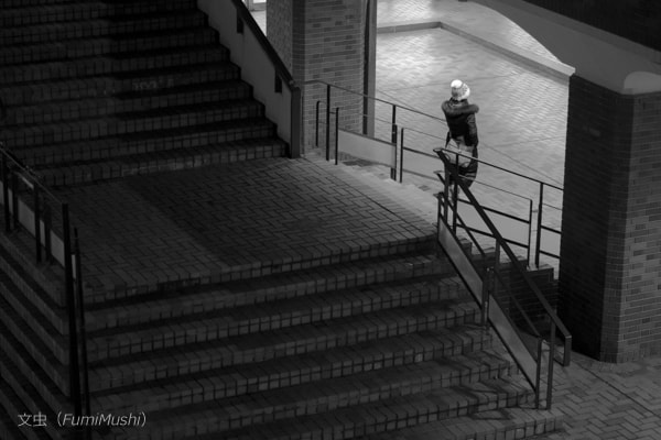 Canon EF 100mm F2.8L Macro IS USM sample photo. Stairs photography