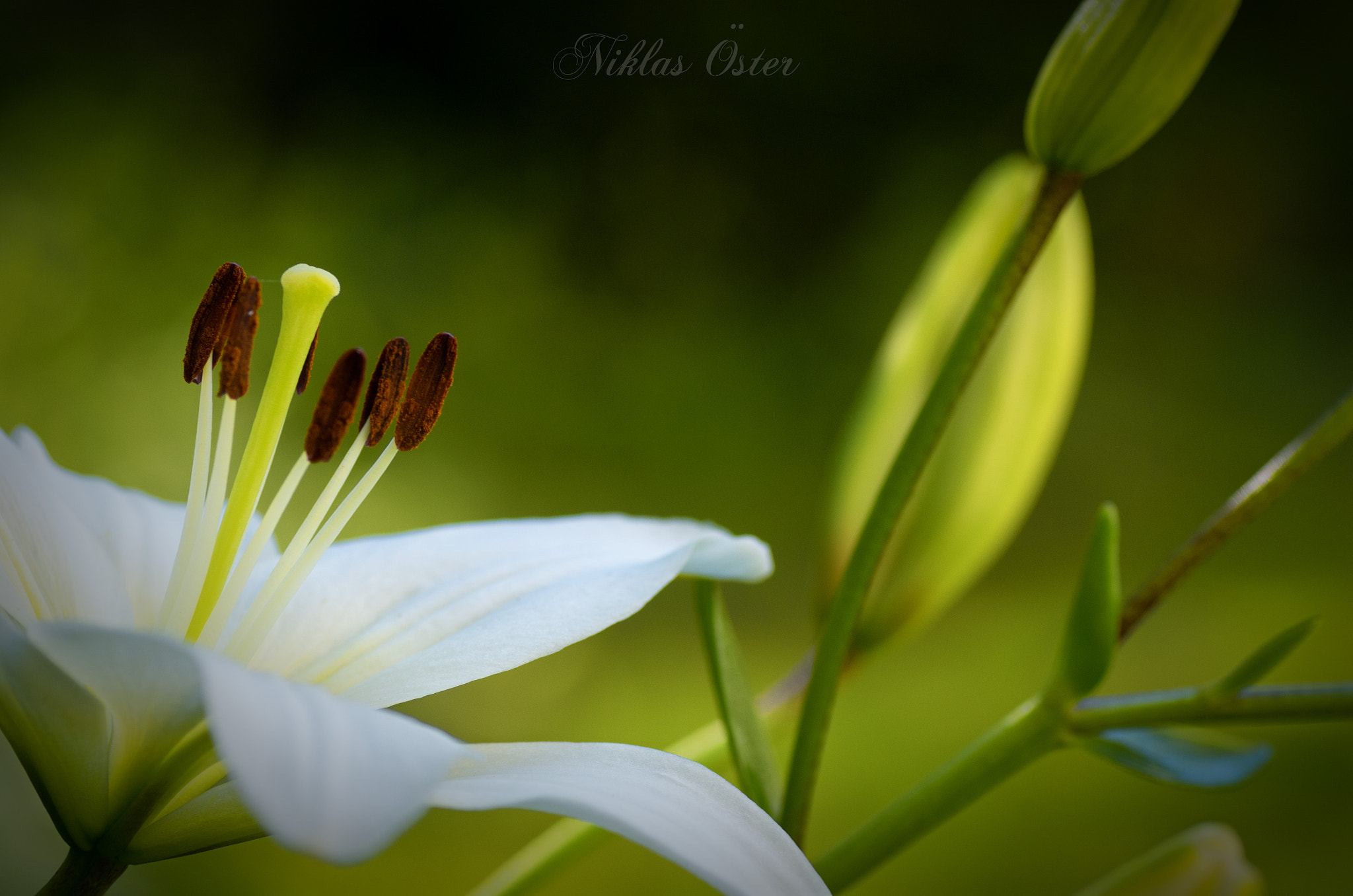 Pentax K-50 sample photo. Nice weather today... photography