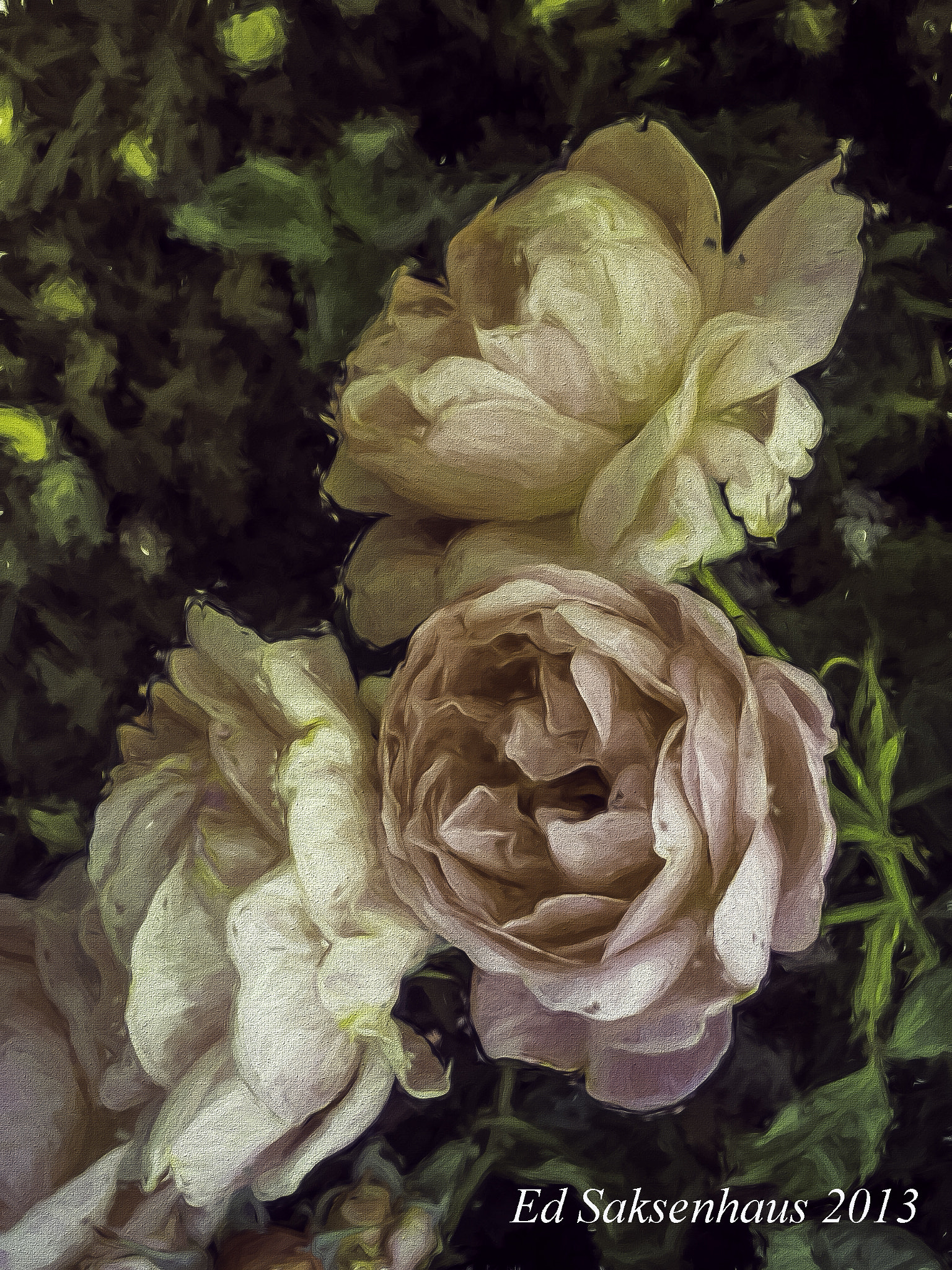 KONICA MINOLTA DiMAGE 7 sample photo. Three roses. photography
