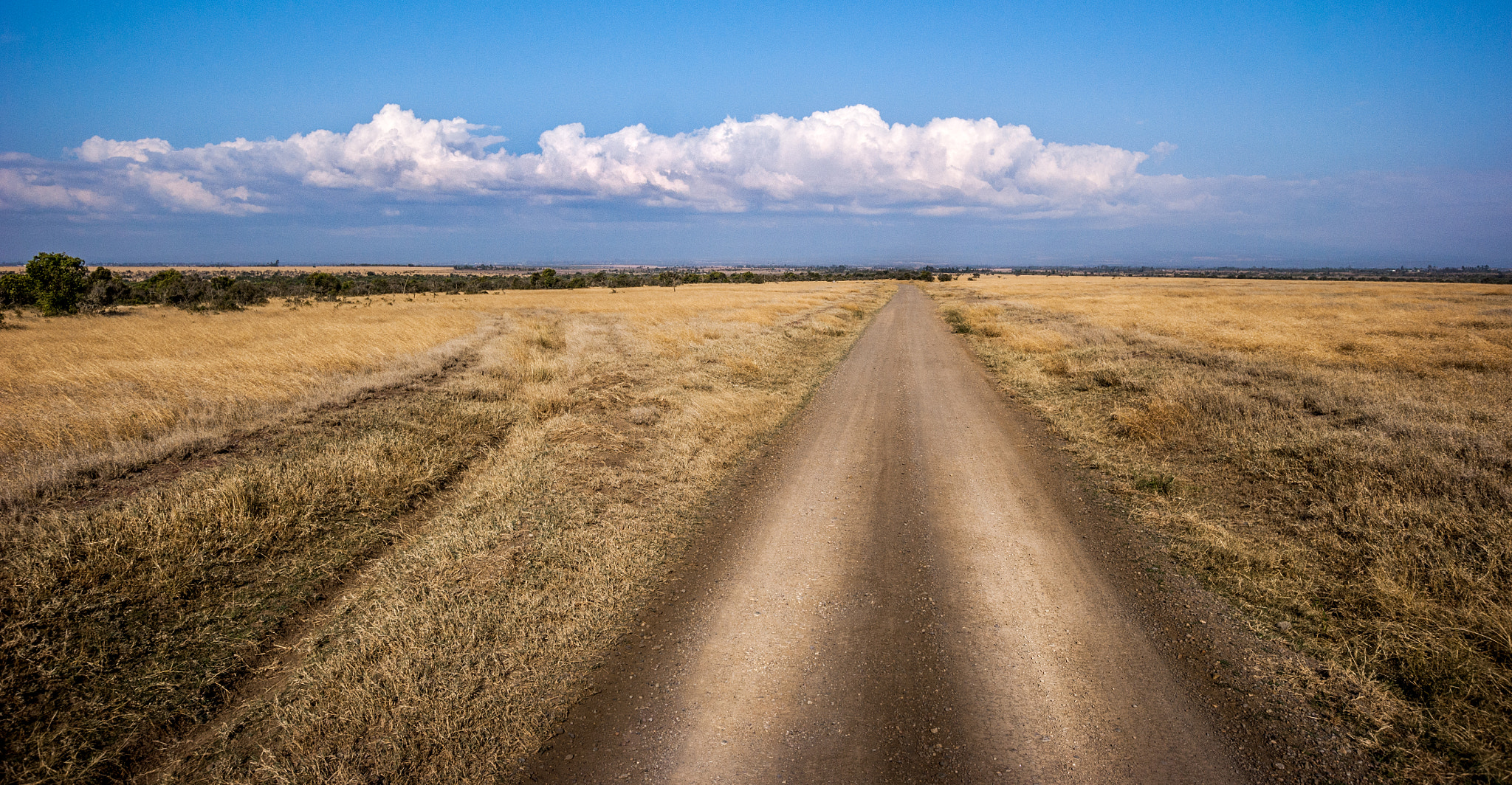 Sony Alpha DSLR-A350 + Sigma 10-20mm F3.5 EX DC HSM sample photo. Dirt road kenia photography