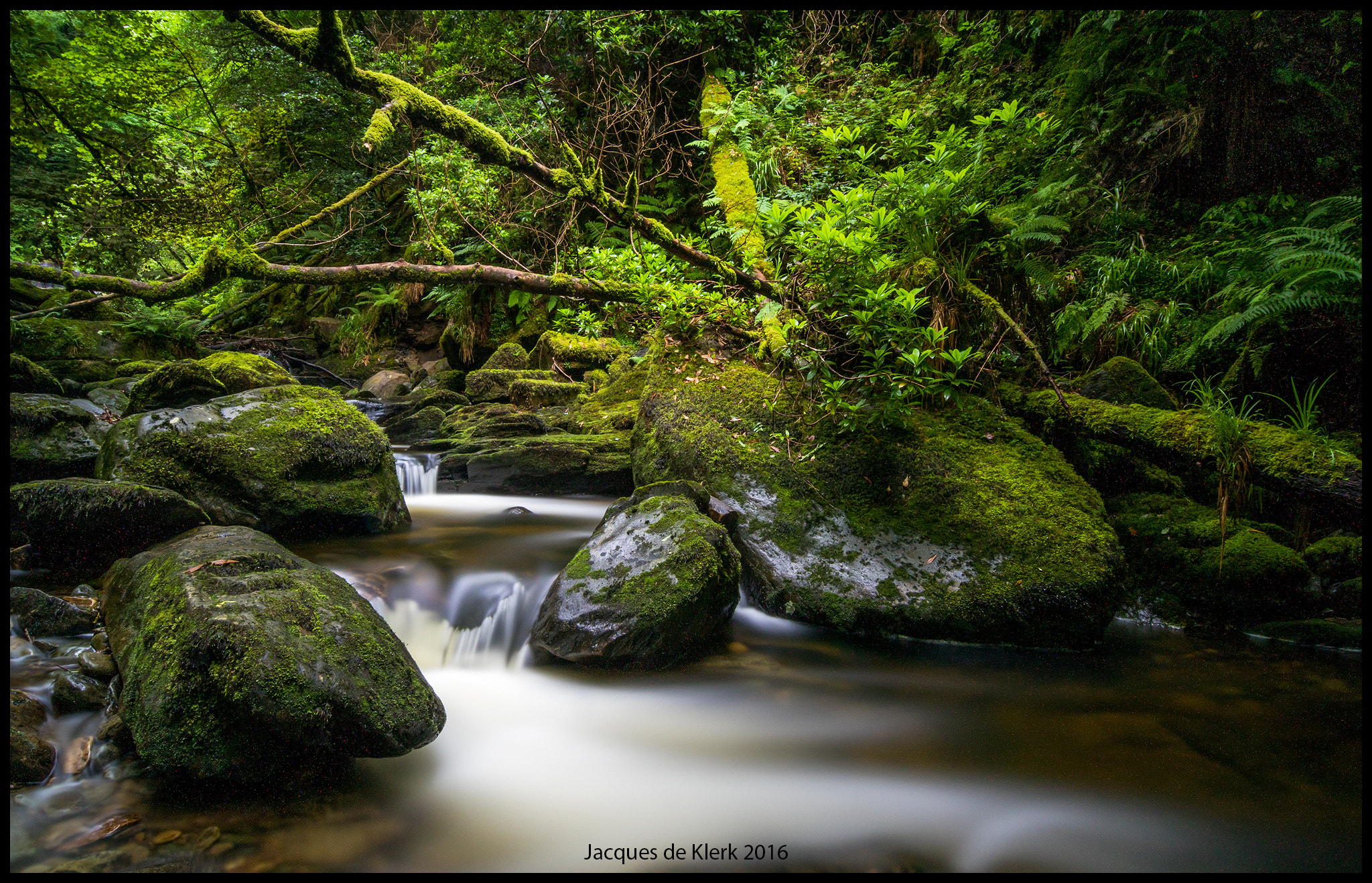 Tokina AT-X Pro 12-24mm F4 (IF) DX sample photo. Away from everything photography