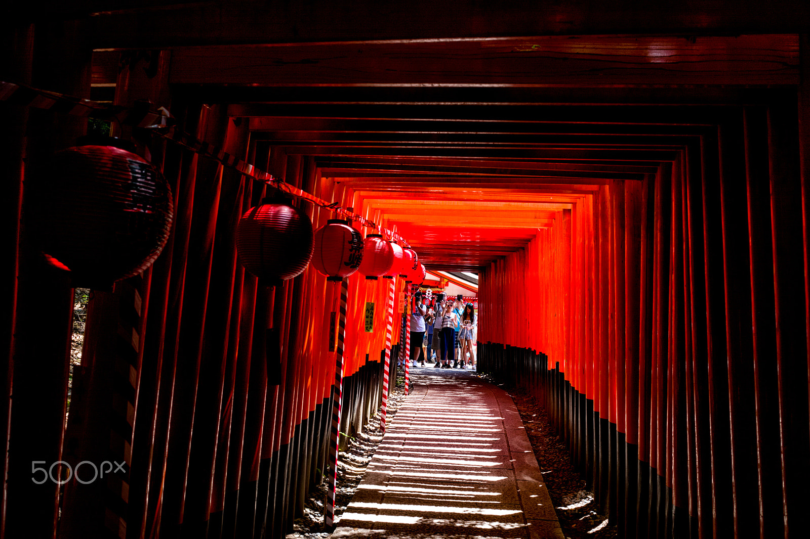 Leica Summilux-M 35mm F1.4 ASPH sample photo. Thousand torii - shrine of inari photography