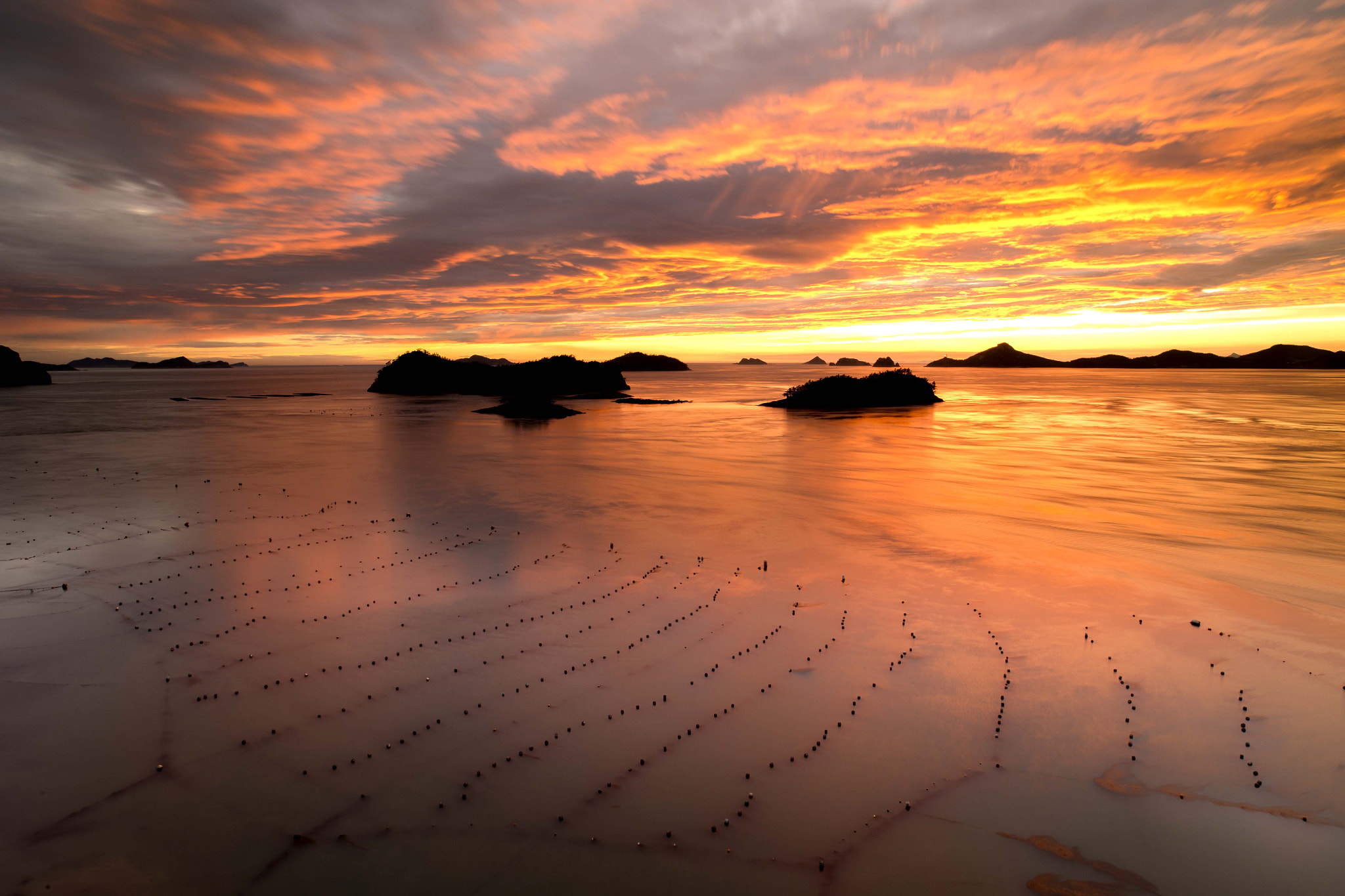 Canon EOS-1D X sample photo. The colours of heaven photography