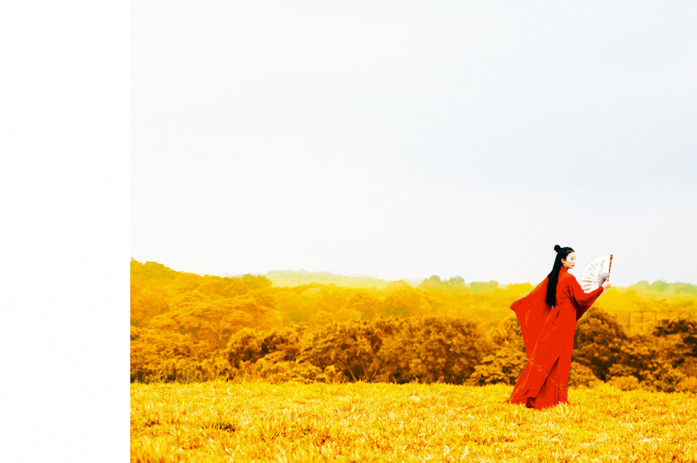 HD Pentax D FA 24-70mm F2.8 ED SDM WR sample photo. Chinese assassin photography
