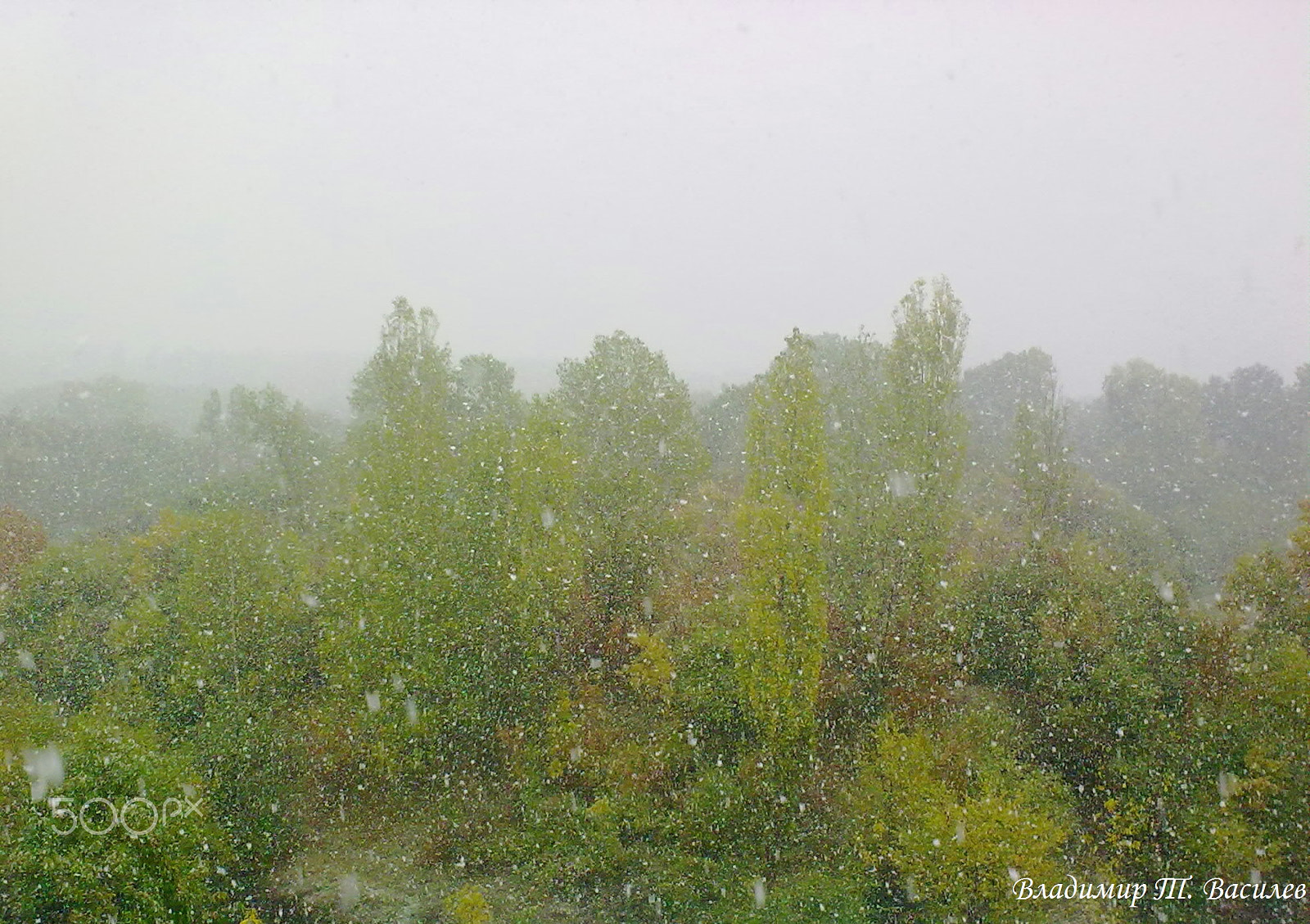 Nokia 5530 sample photo. Snowfall photography