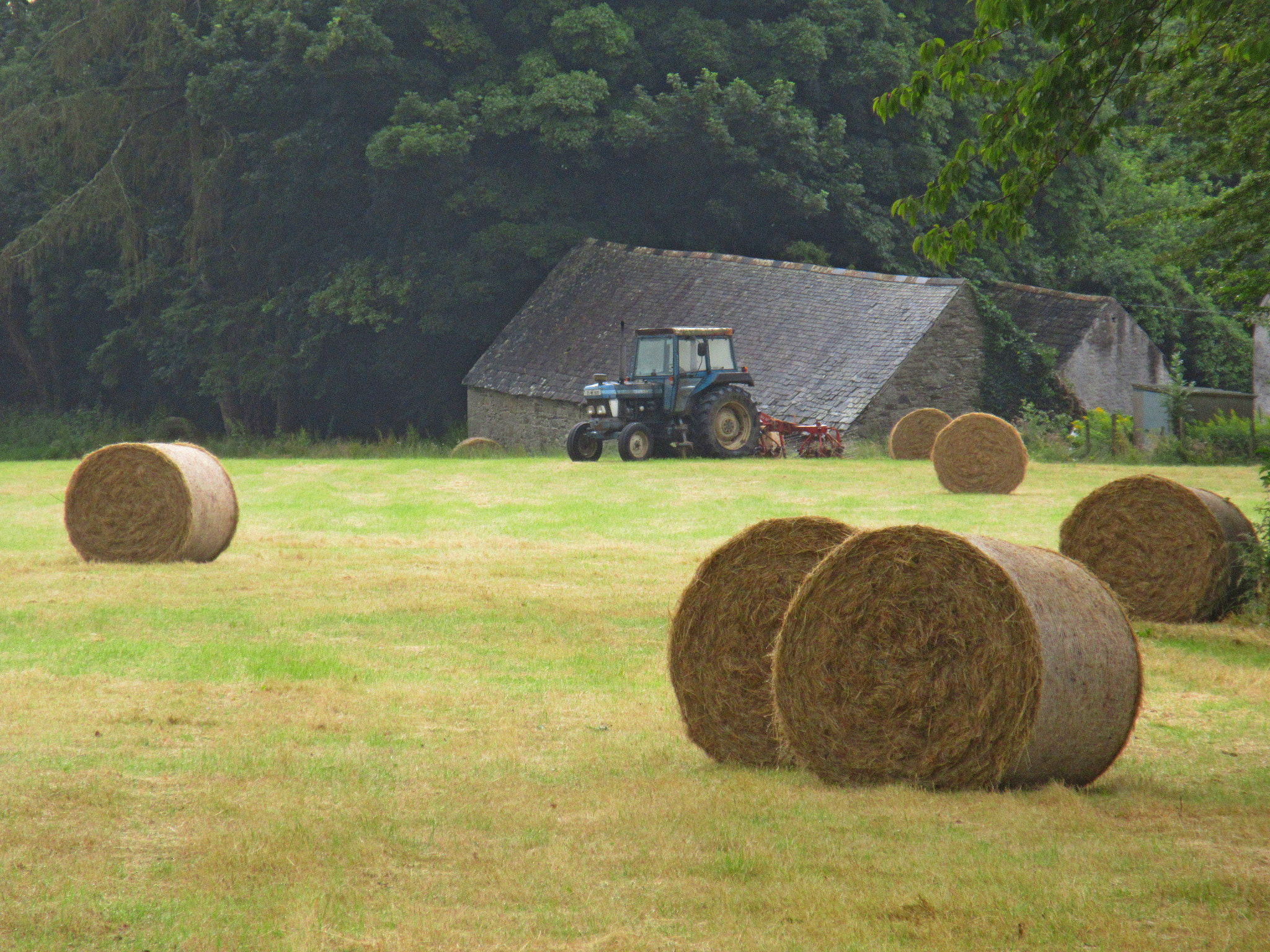 Canon PowerShot ELPH 350 HS (IXUS 275 HS / IXY 640) sample photo. Wexford harvest photography