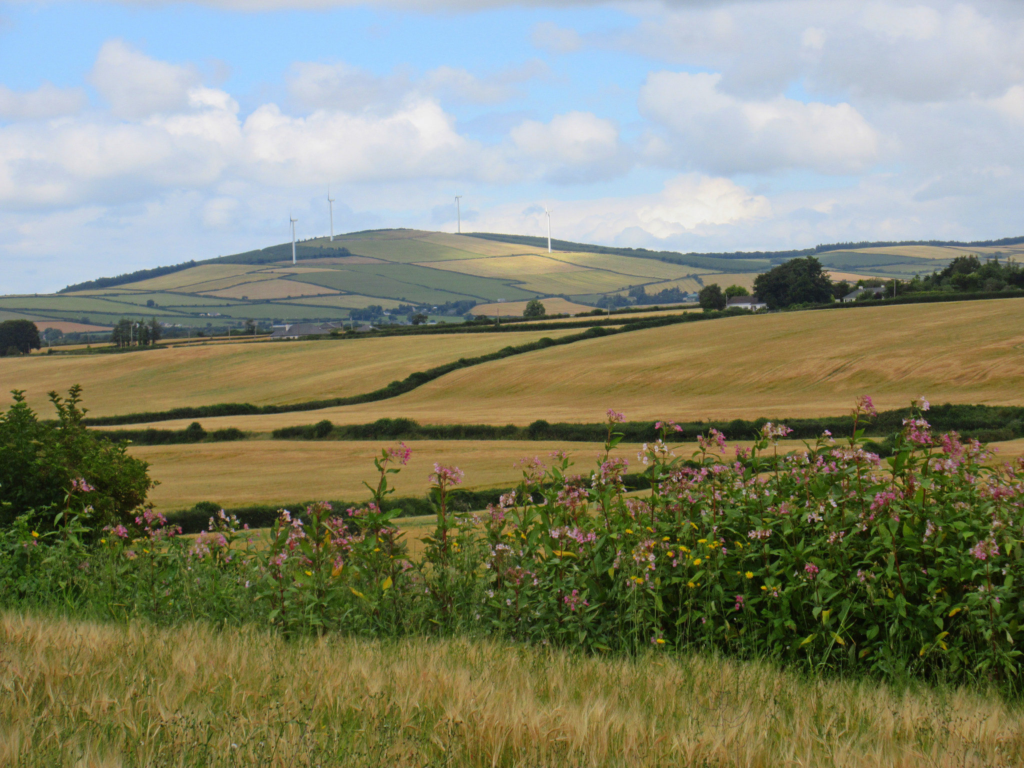 Canon PowerShot ELPH 350 HS (IXUS 275 HS / IXY 640) sample photo. Wexford harvest photography