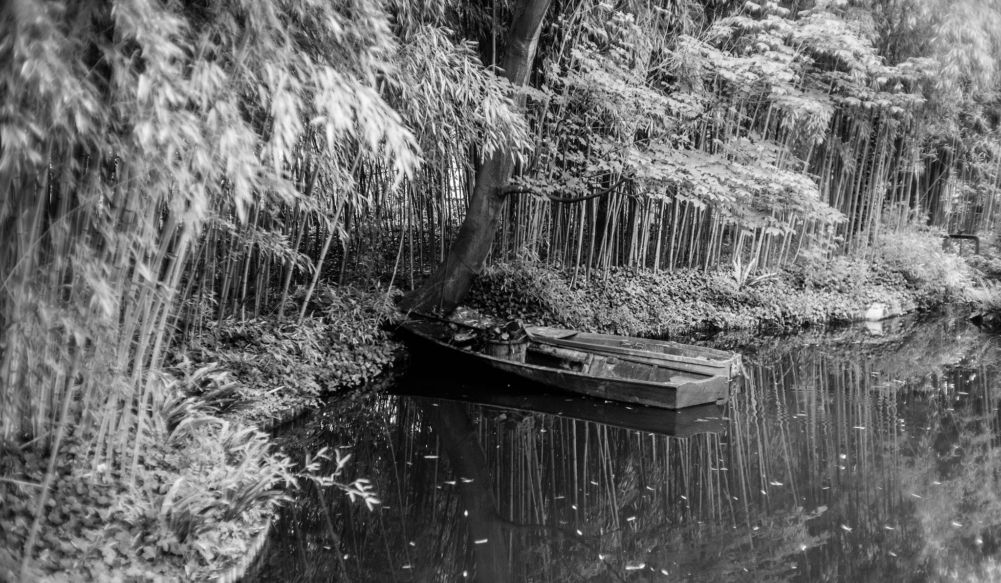 Leica M9 + Noctilux-M 50mm f/1 sample photo. Boat photography