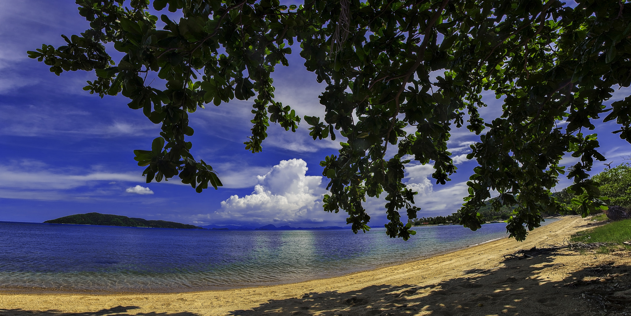 Nikon D200 + Nikon AF Fisheye-Nikkor 16mm F2.8D sample photo. Under the tree photography