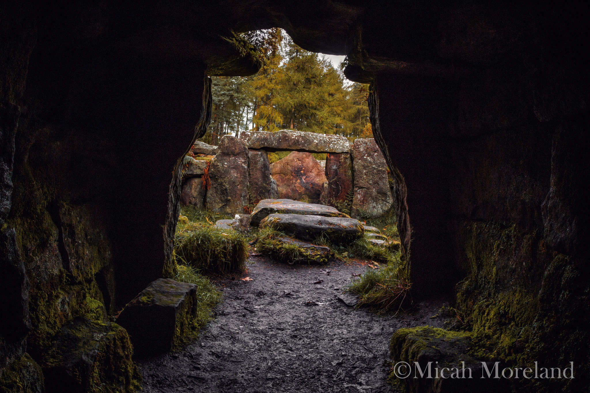 Canon EOS 100D (EOS Rebel SL1 / EOS Kiss X7) + Canon EF 15mm F2.8 Fisheye sample photo. Druid temple photography