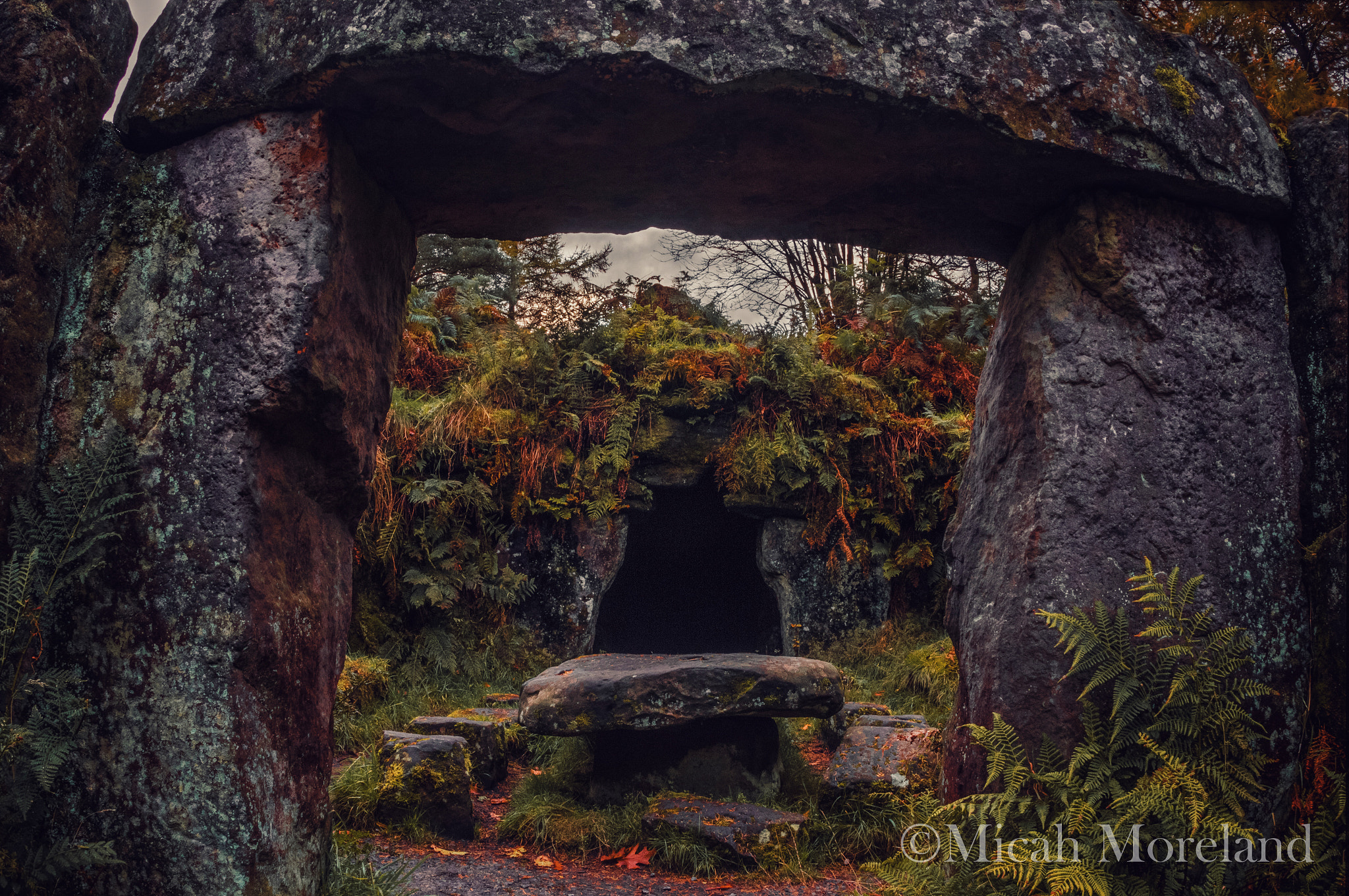 Canon EOS 100D (EOS Rebel SL1 / EOS Kiss X7) + Canon EF 15mm F2.8 Fisheye sample photo. Druid temple photography