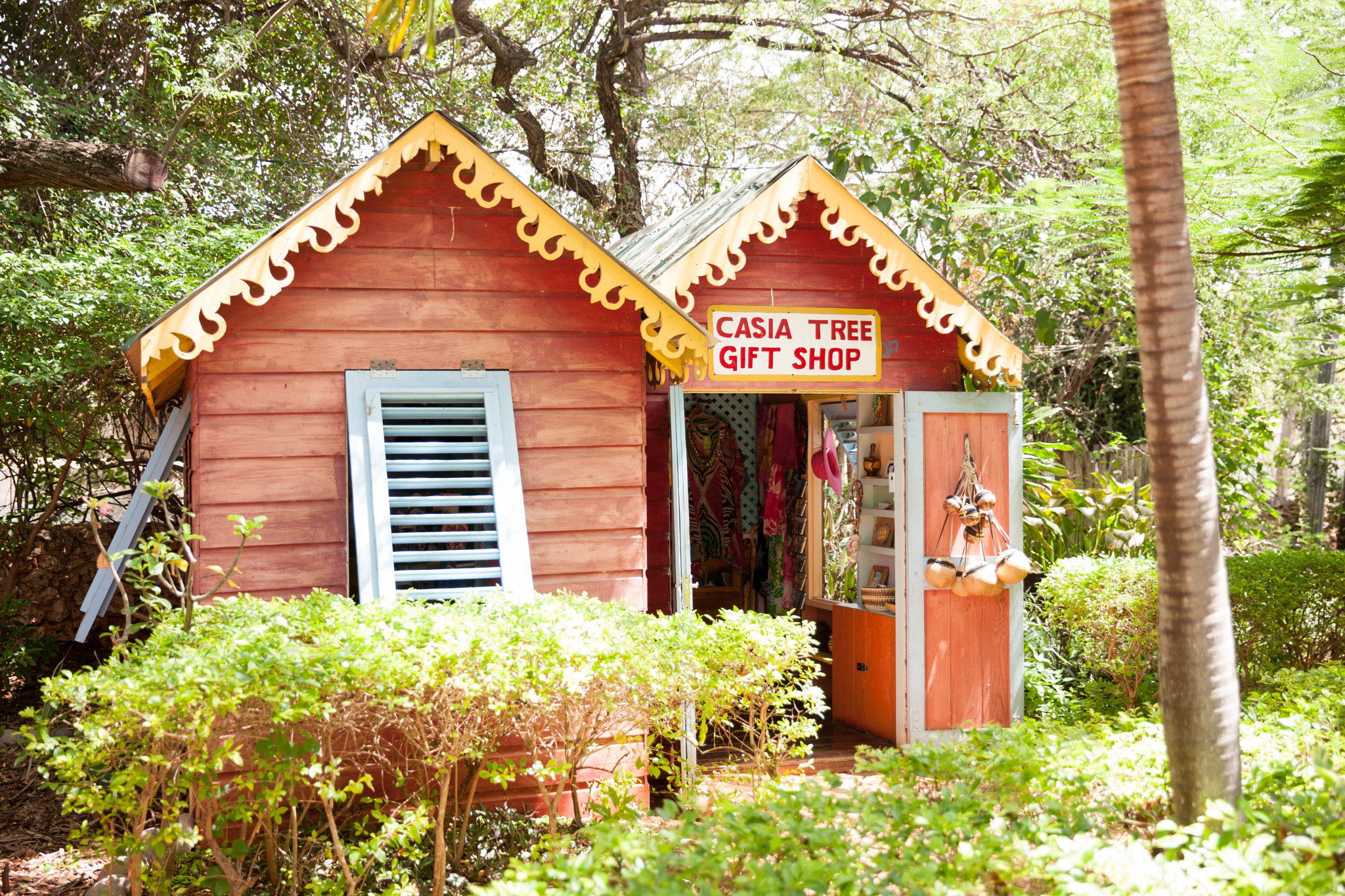 Canon EOS-1Ds Mark III sample photo. Jakes jamaica gift shop photography
