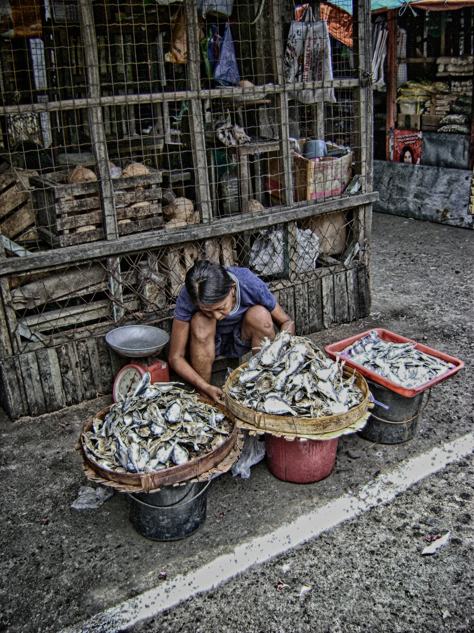 Sony DSC-S730 sample photo. Salty fish photography