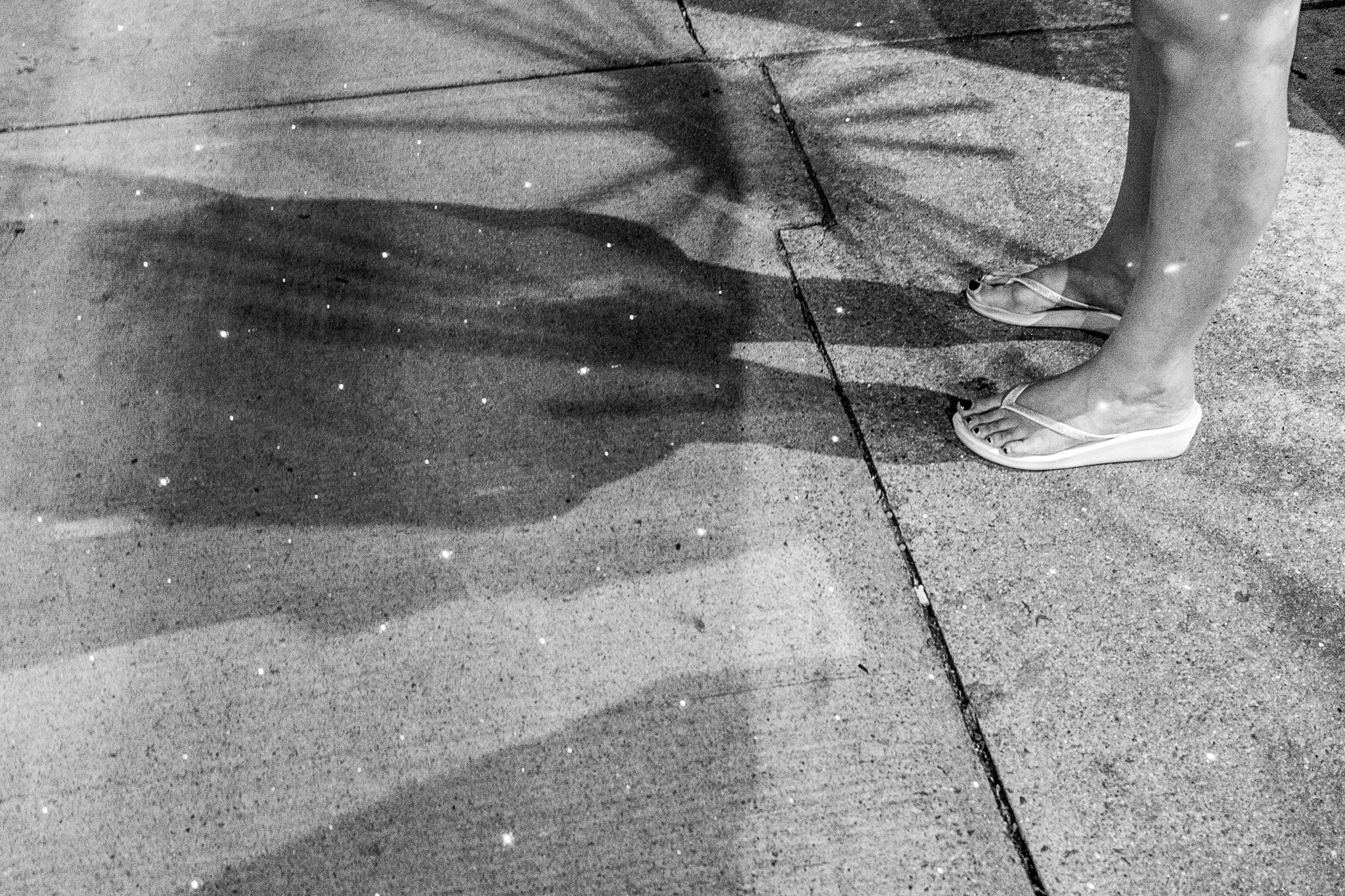 Canon EF-S 24mm F2.8 STM sample photo. The stars at our feet photography