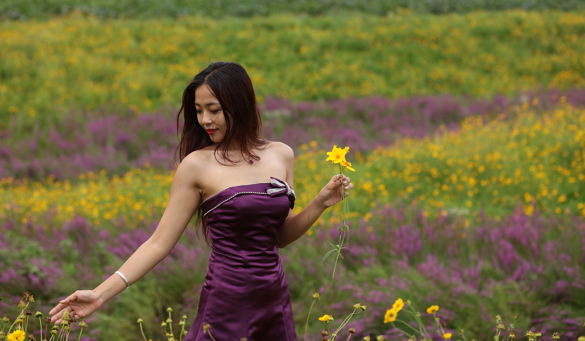 Canon EF 85mm F1.8 USM sample photo. Flowers flowers photography