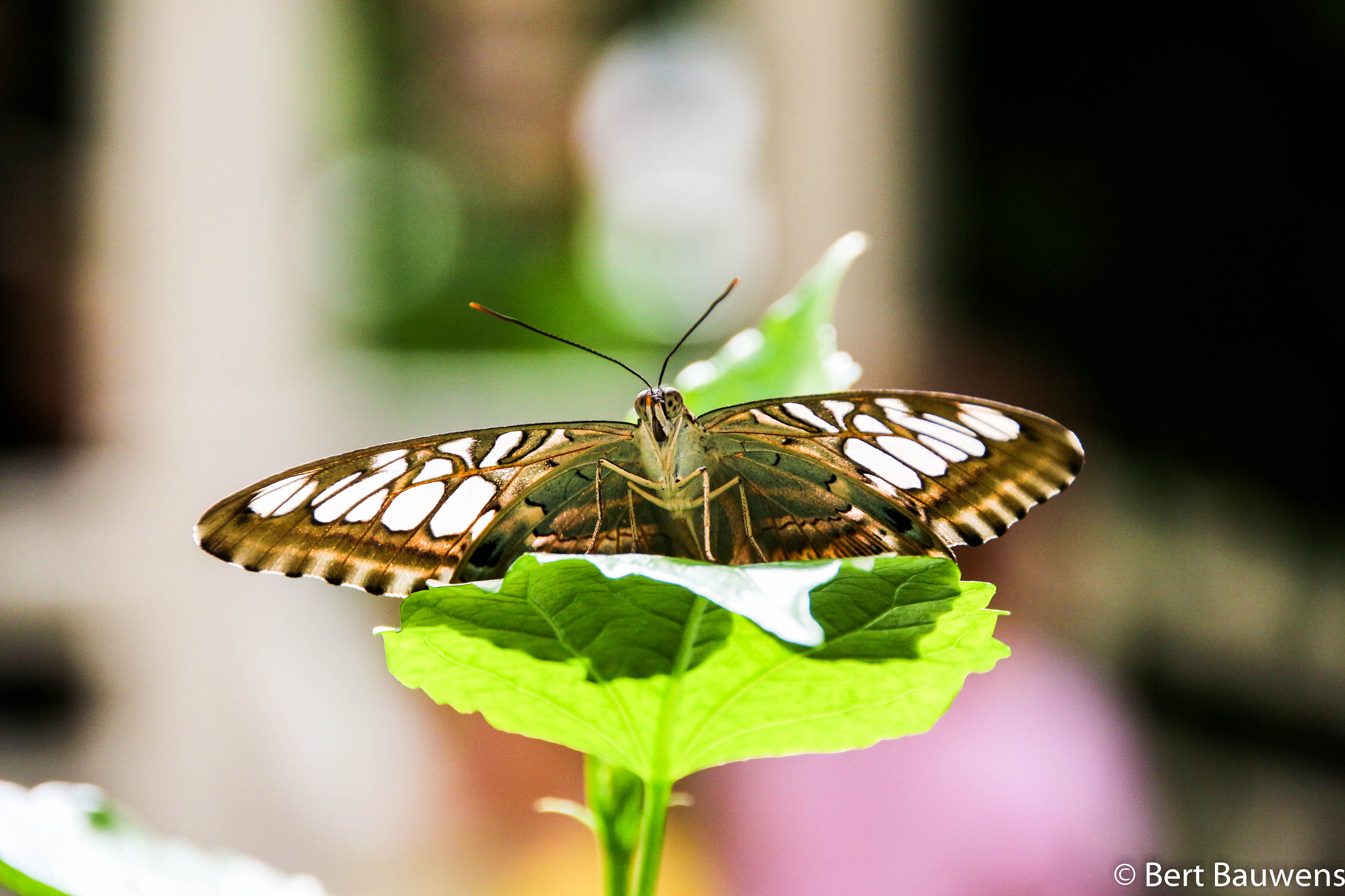 Canon EOS 650D (EOS Rebel T4i / EOS Kiss X6i) sample photo. Moezel duitsland photography