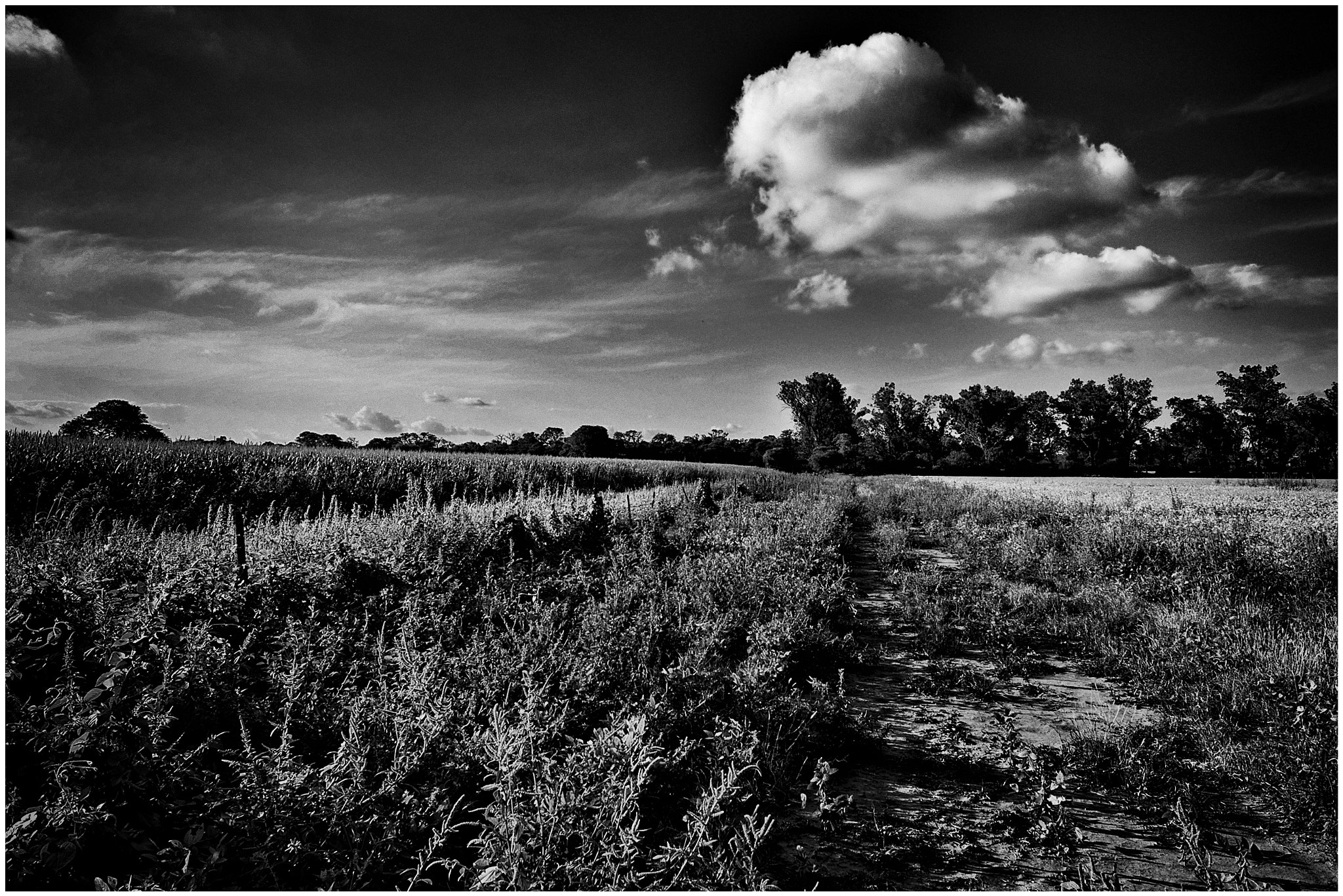 Nikon D600 + Nikon AF Nikkor 24mm F2.8D sample photo. Campos de ansenuza photography