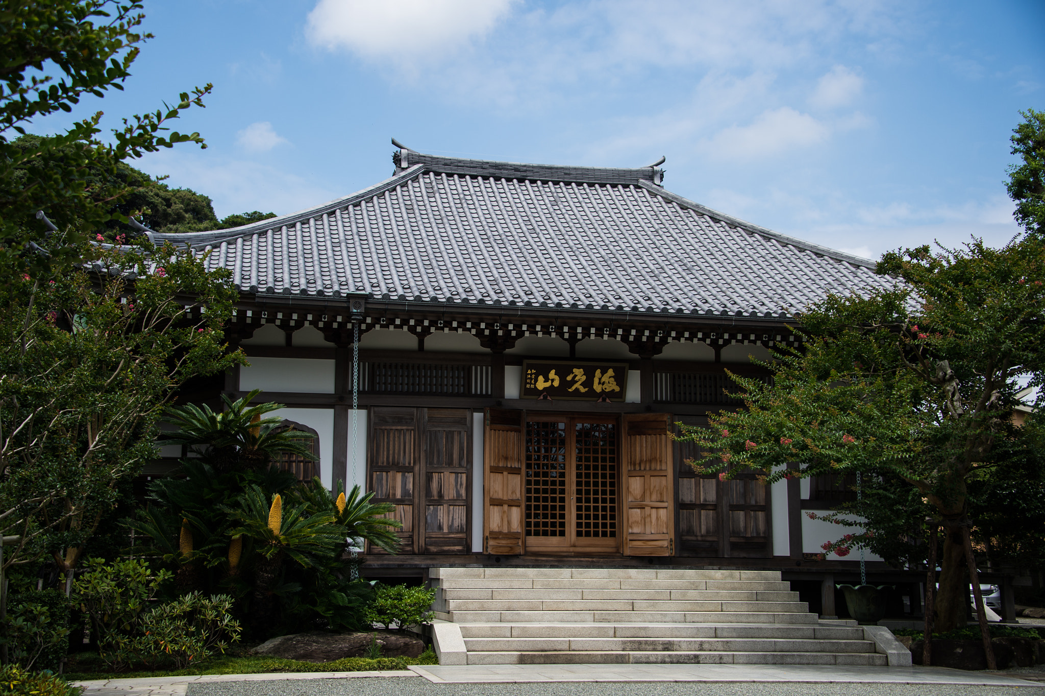Nikon Df sample photo. Kamakura 鎌倉 photography
